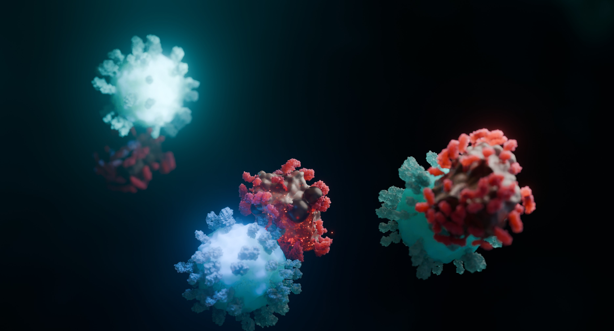 CAR T cell attacking cancer cell