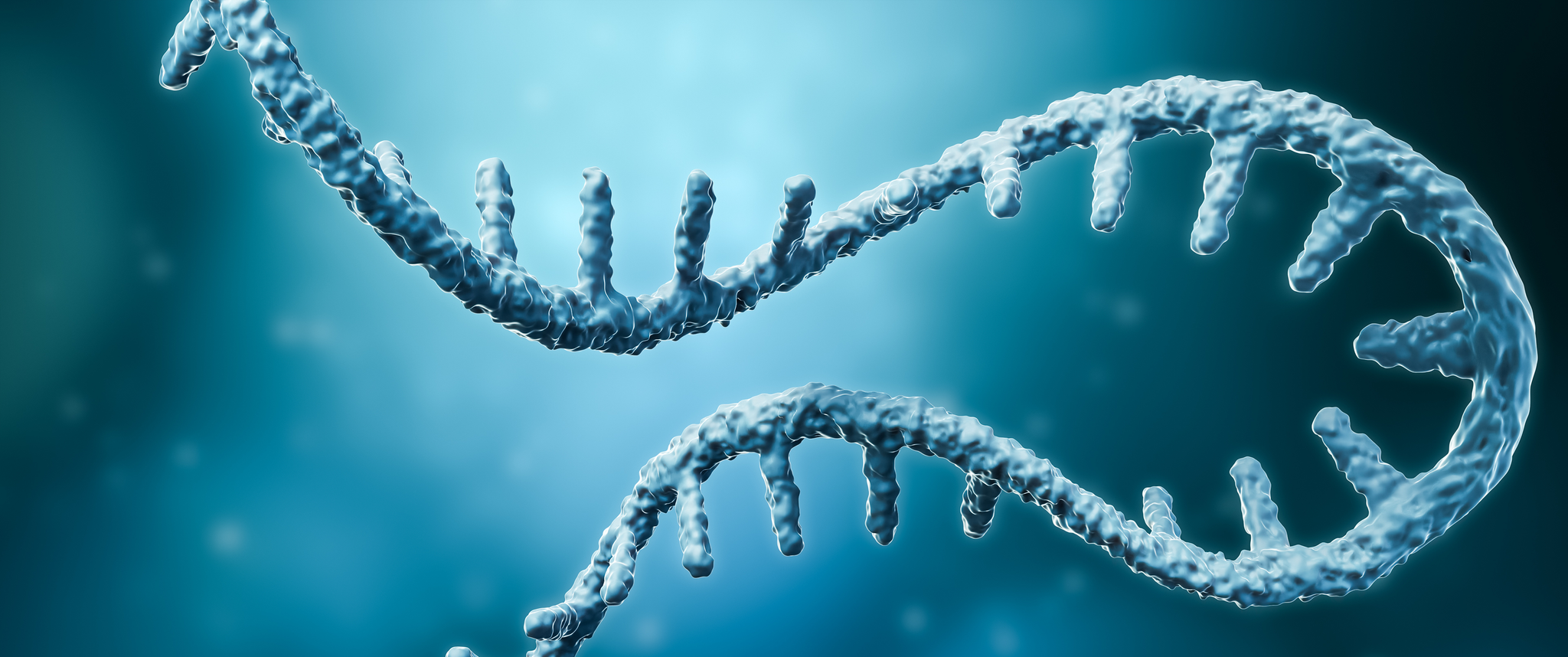 Artistic 3D render of two strands of RNA