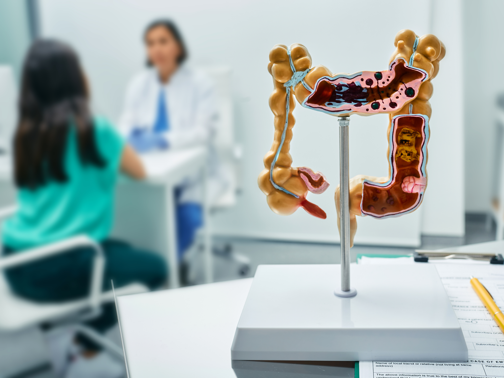 Anatomical intestines model on doctor table over background gastroenterologist consulting female patient 