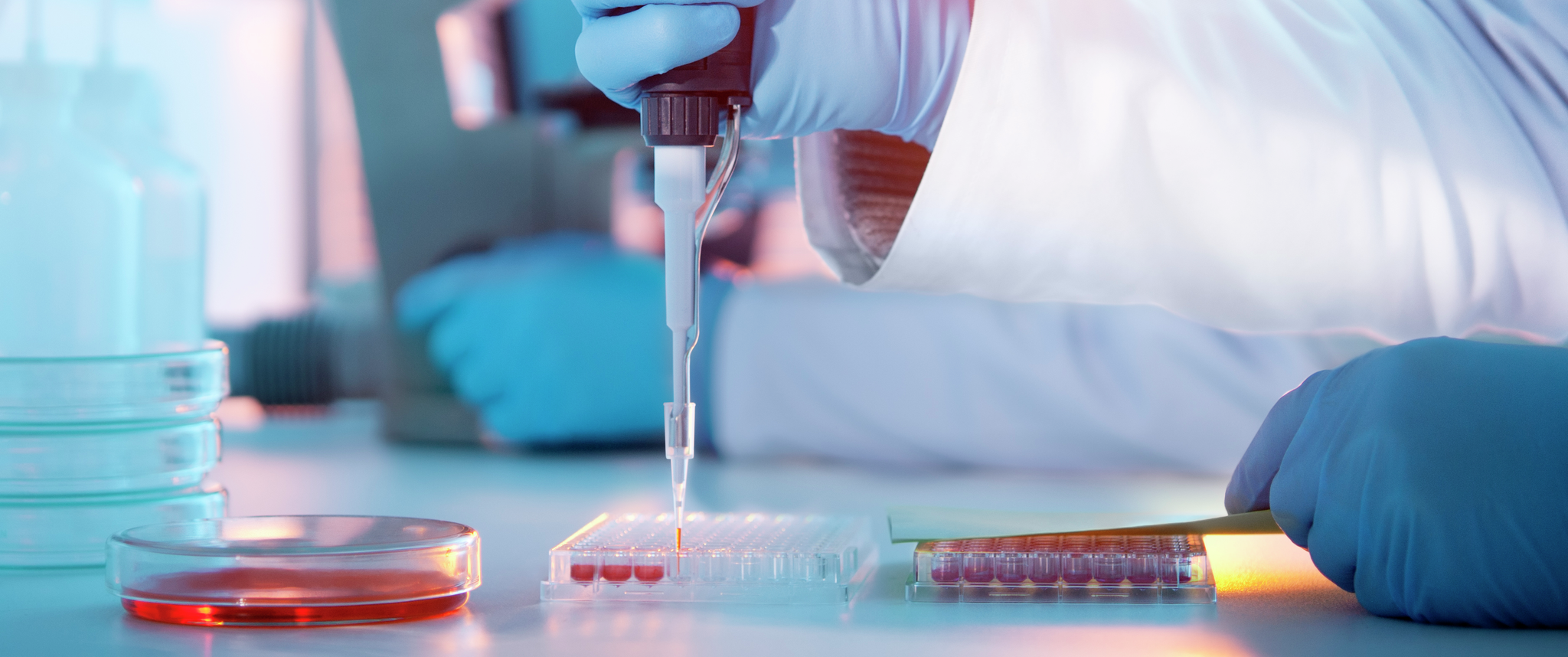 A close-up of a hand wearing a blue latex glove holding a laboratory pipette in a clinical research setting.