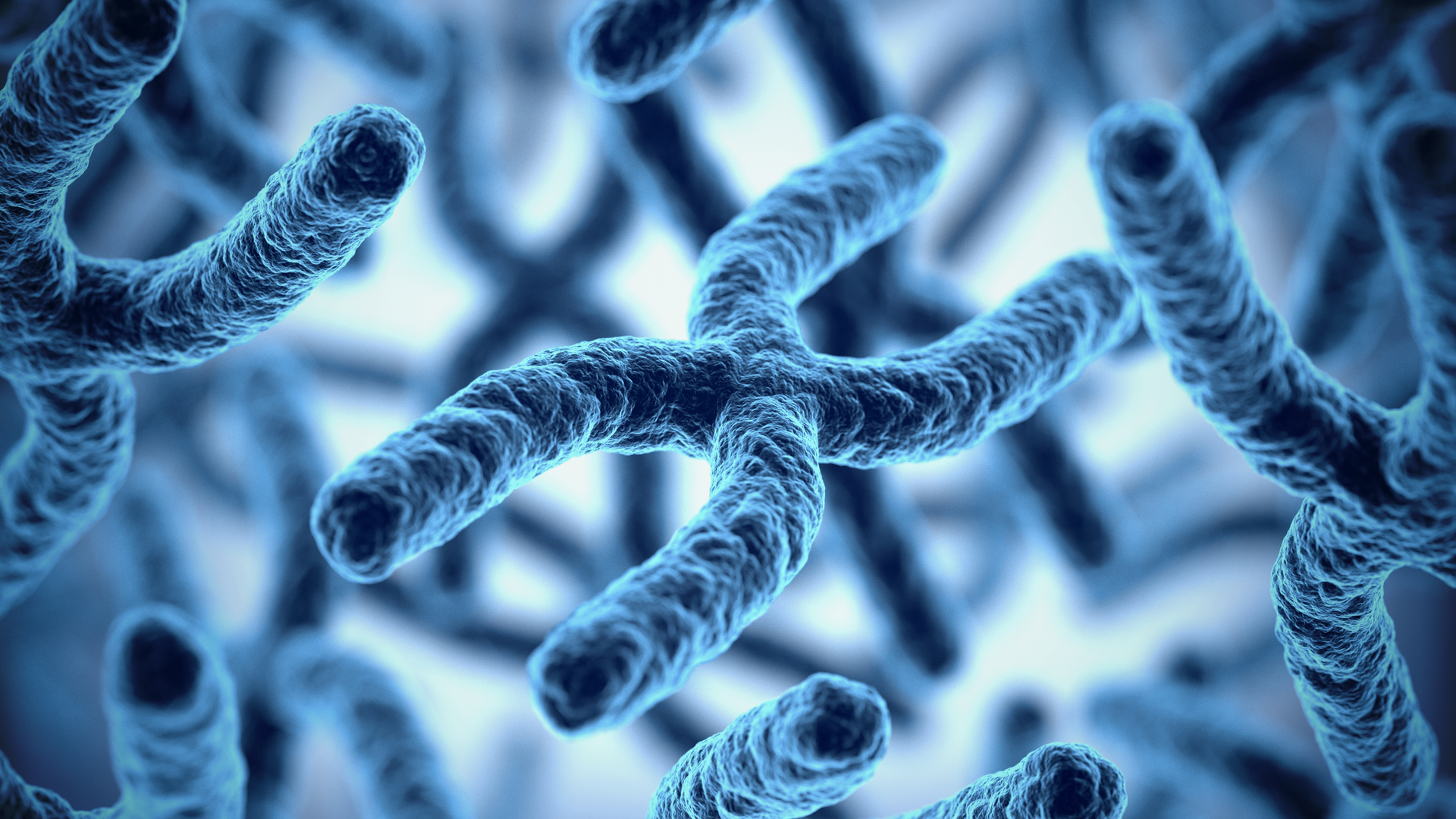 Chromosome 3d rendering illustration