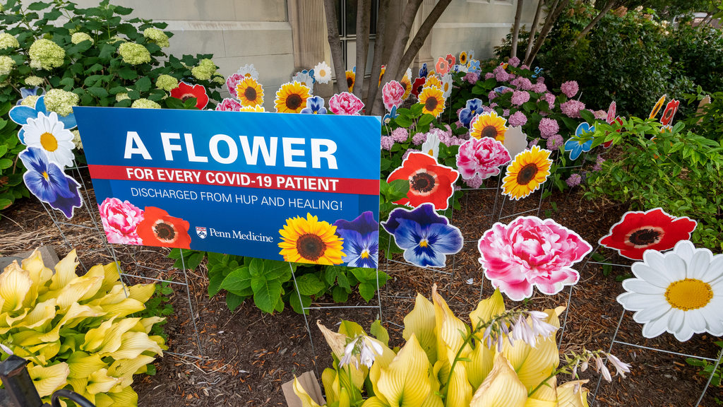 Cardboard flowers on stakes planted in the ground, with a sign explaining that each flower marks a COVID-19 patient who was discharged from the Hospital of the University of Pennsylvania and healing