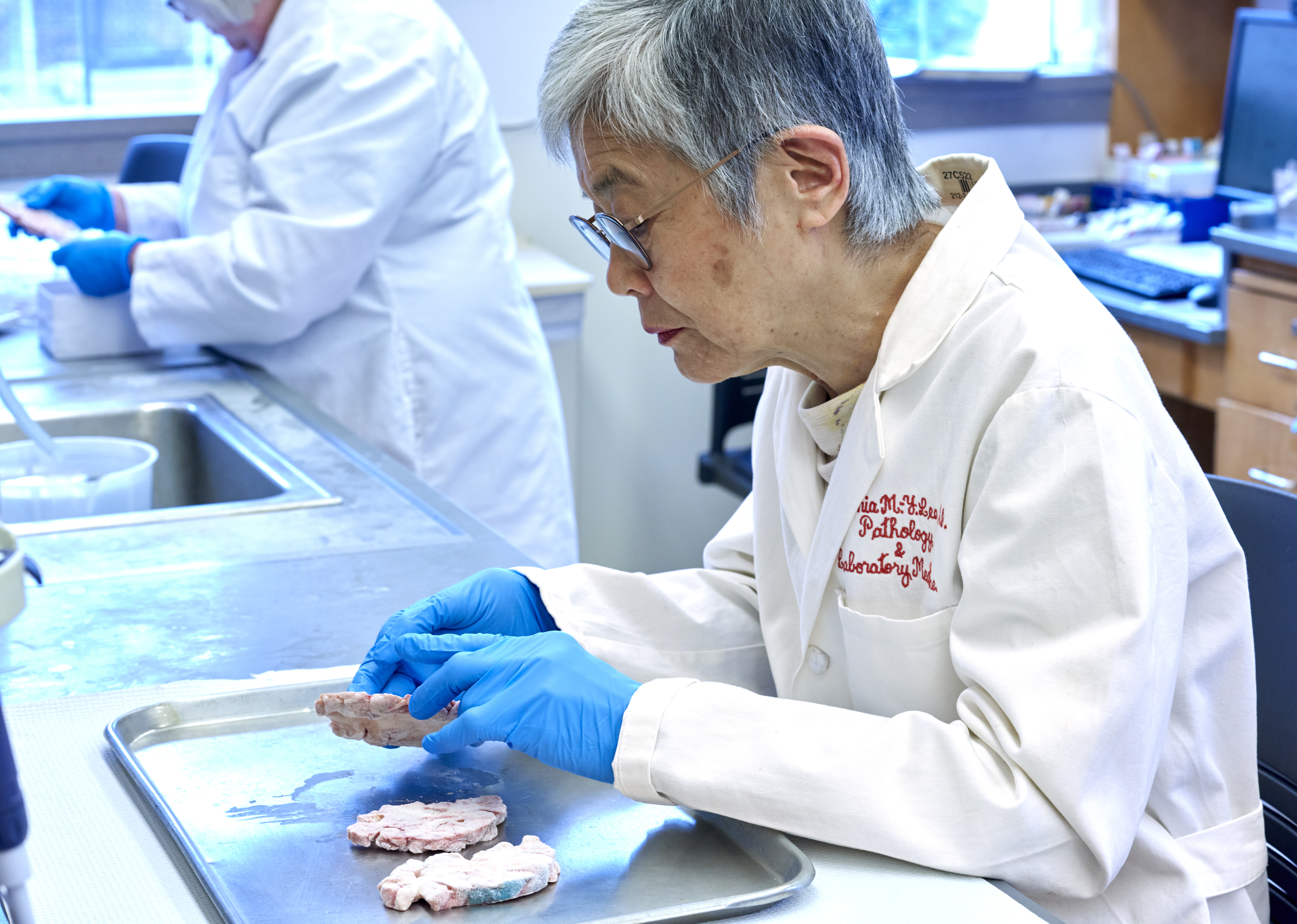 Virginia Lee examines slices of brain tissue on a tray in a lab.