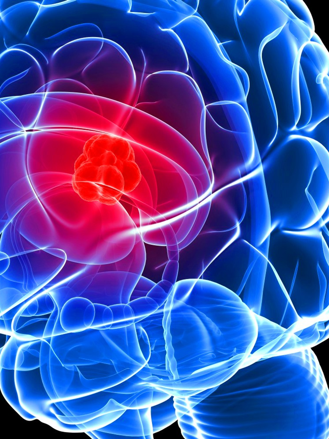 Blue and red illustration of the brain