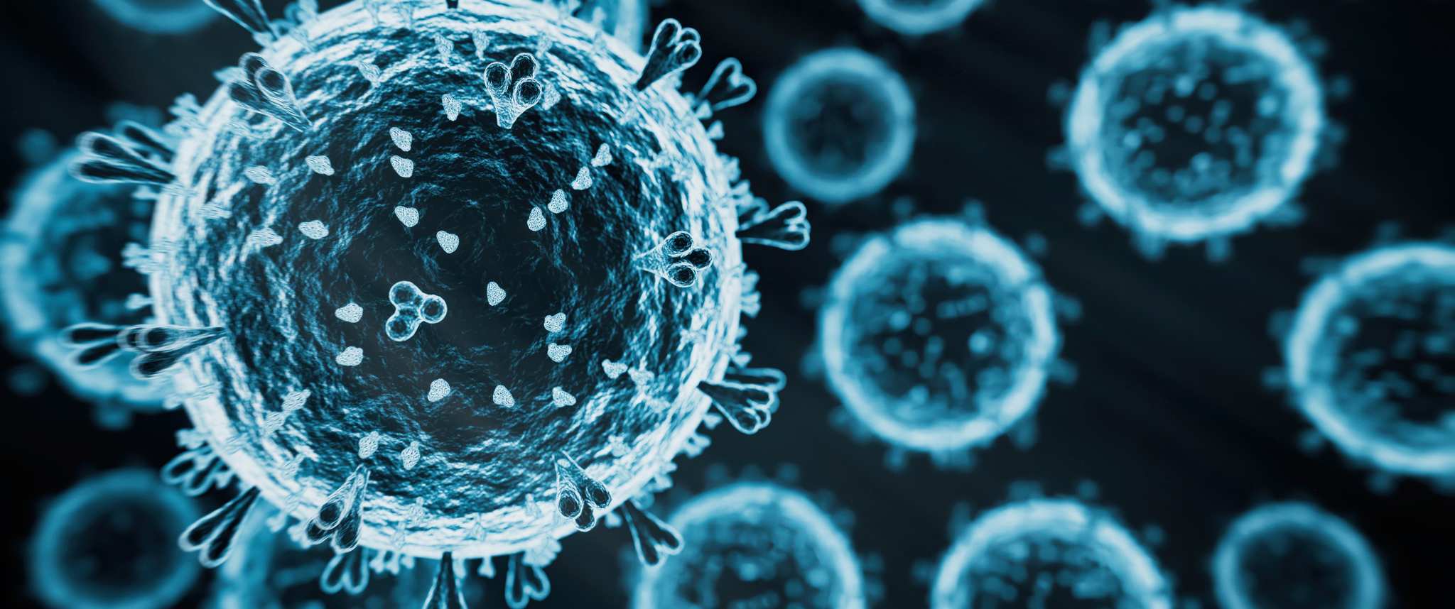 Artistic 3D render of avian influenza virus