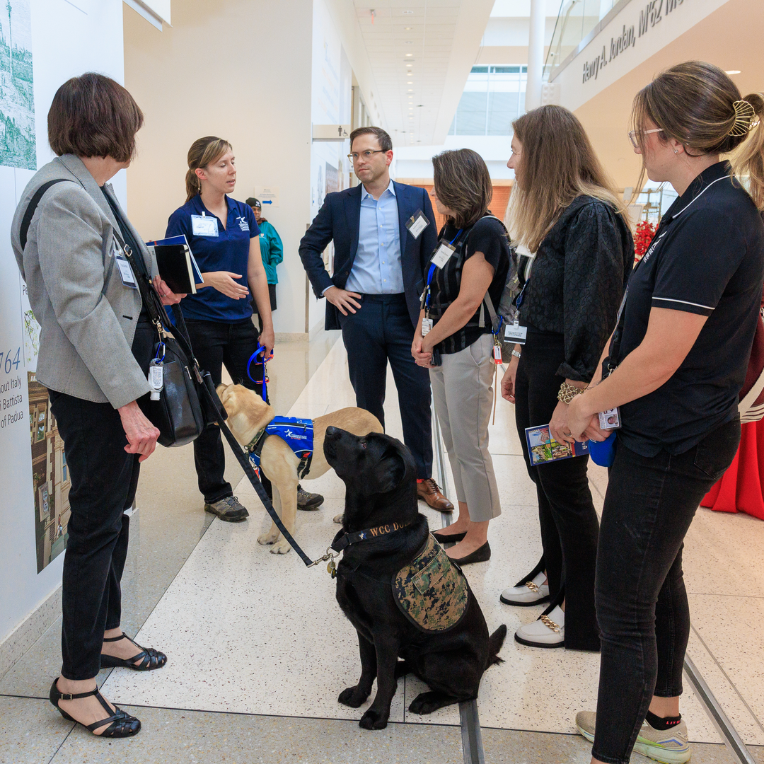 Staff and dogs mingle at a reception