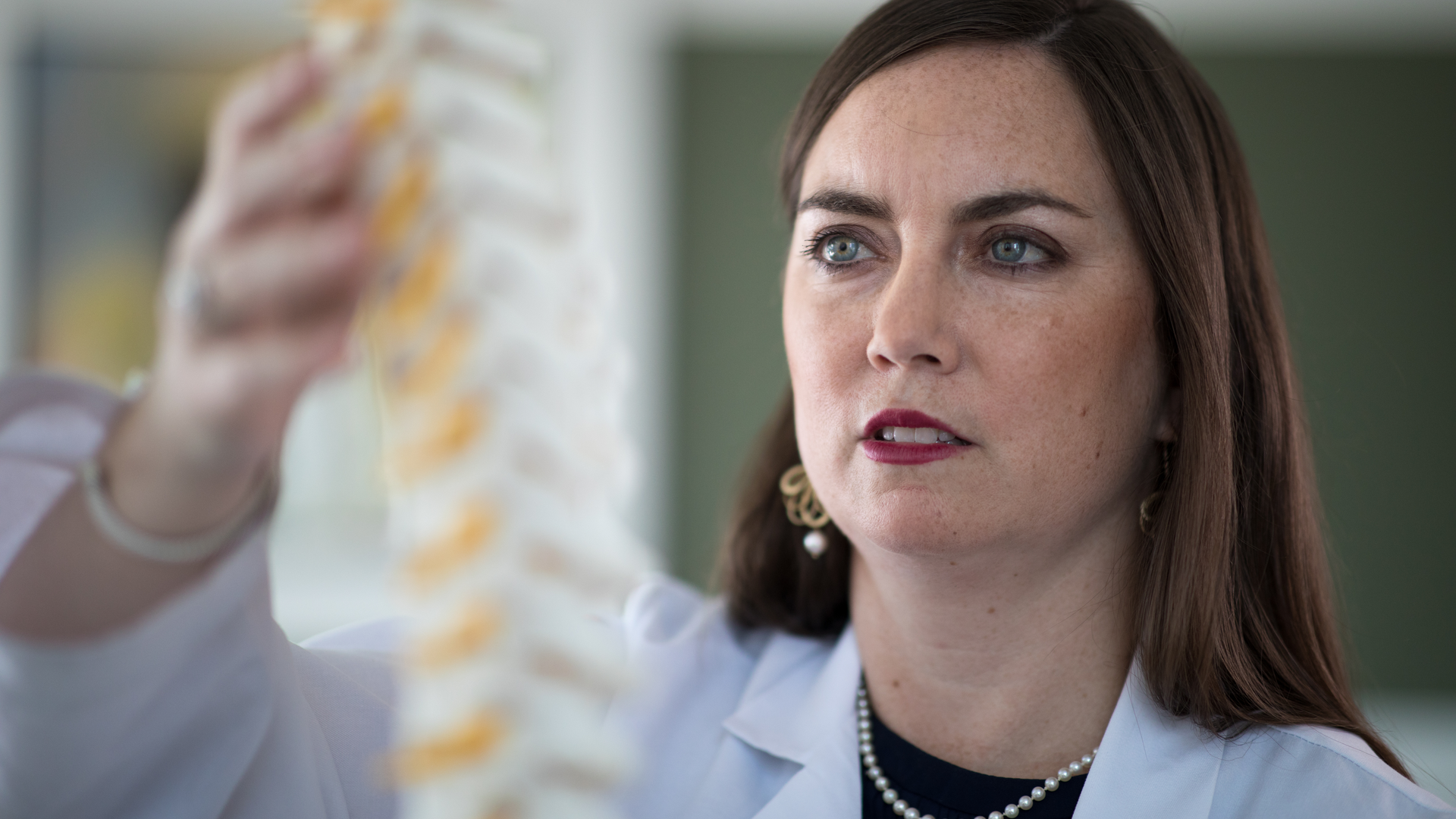 Spine doctor holding model spine