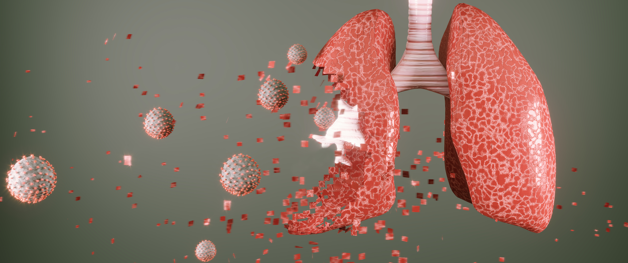 An illustration of a virus attacking lungs