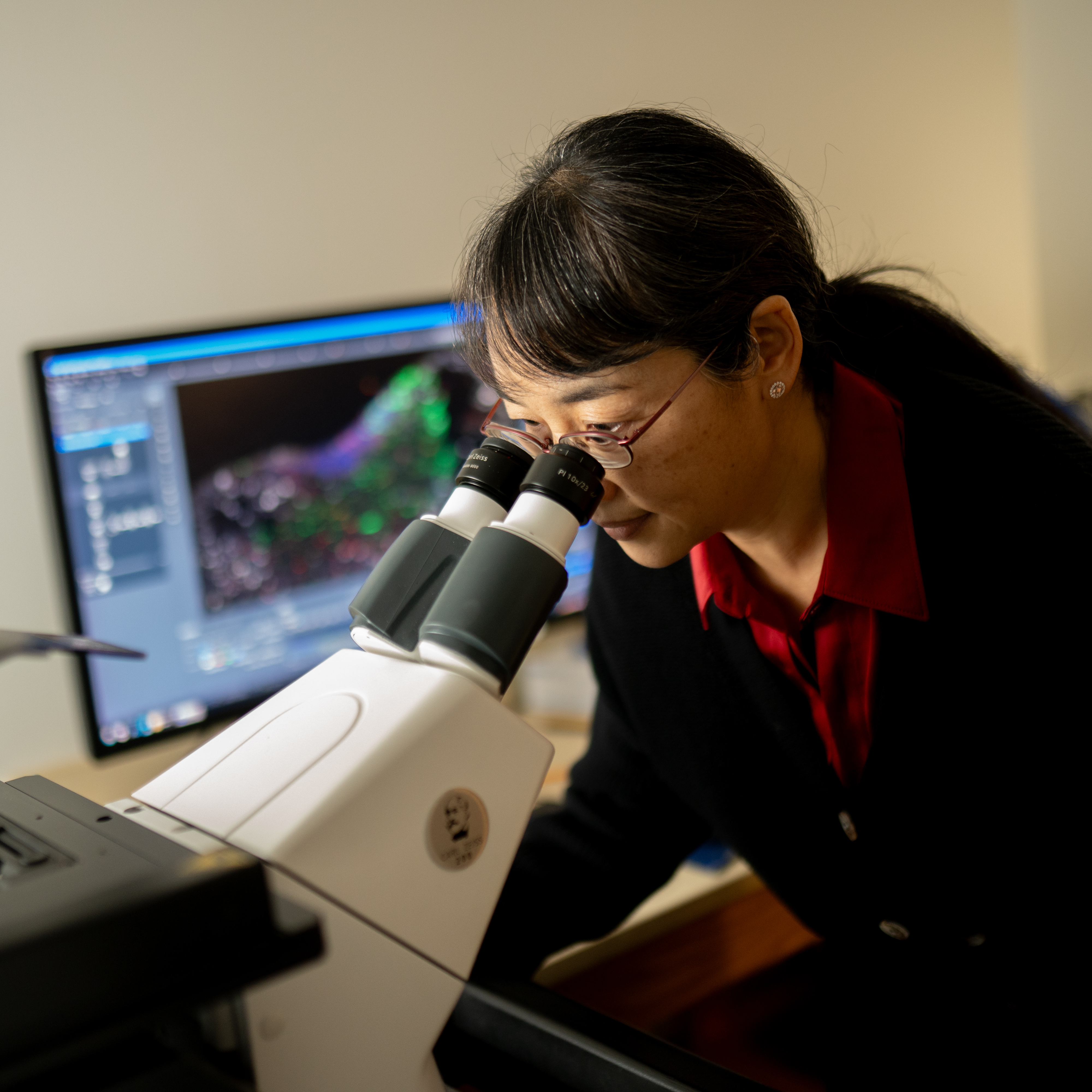 Guo-li Ming, MD, PhD, looks into a microscope