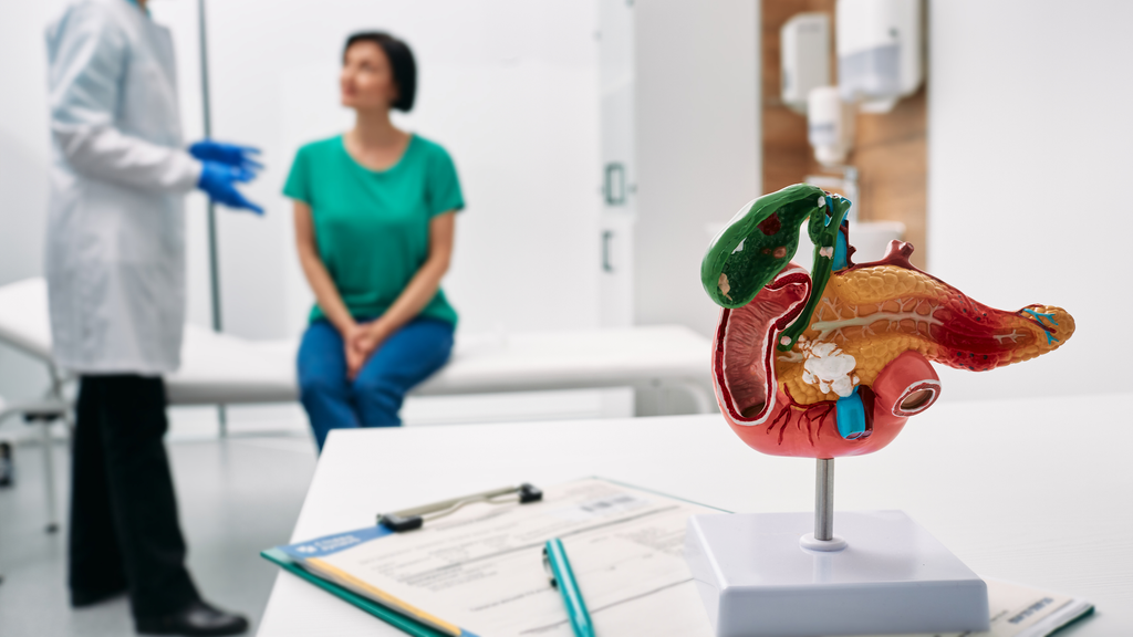 Anatomical model of pancreas on doctor table over background gastroenterologist consulting woman patient