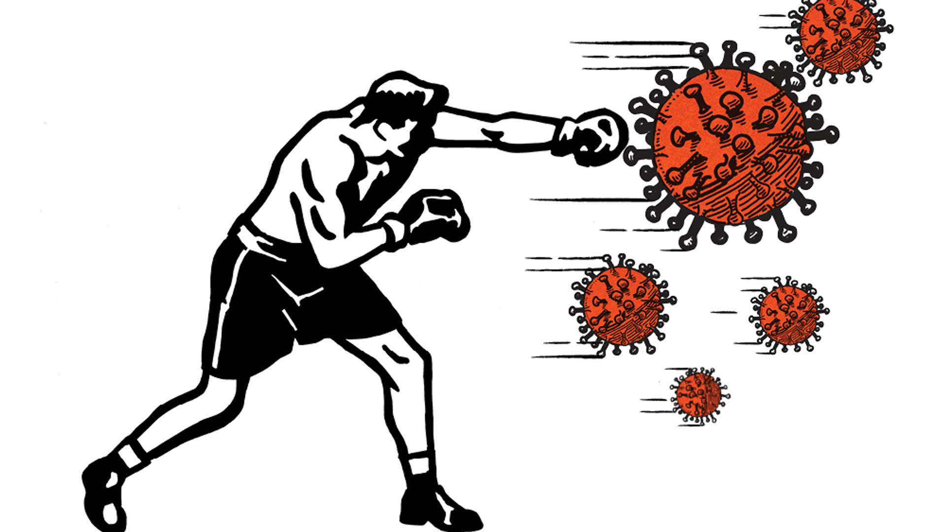 An illustration of a boxer landing a punch on one of several oversized floating coronavirus shapes