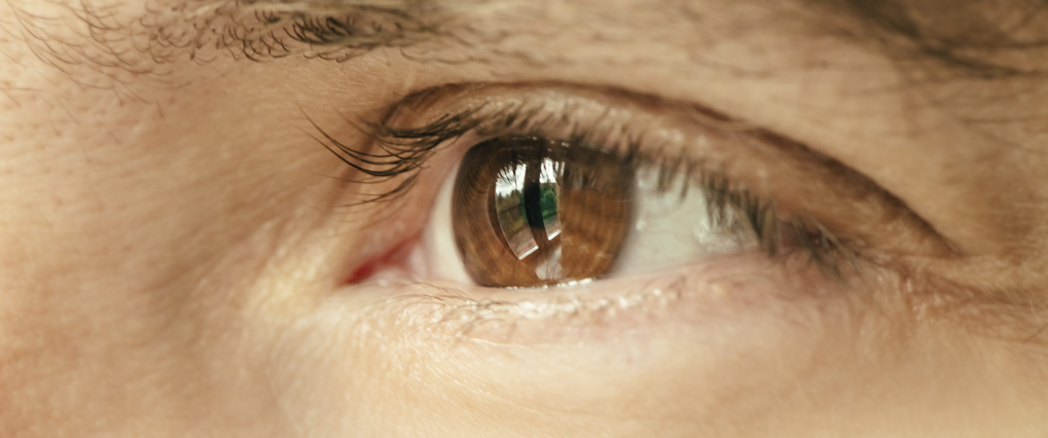 Close-up of an eye
