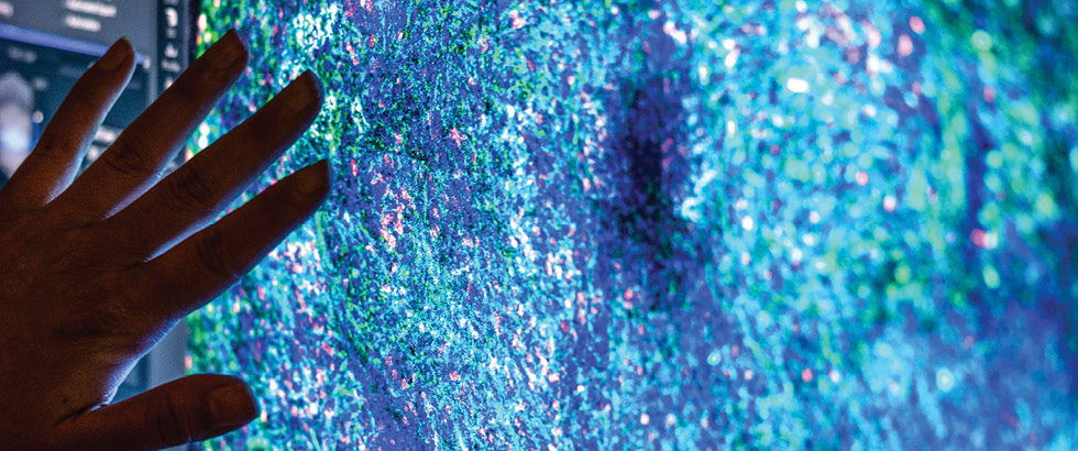 hand is silhouetted in front of a screen showing microscopic brain cells