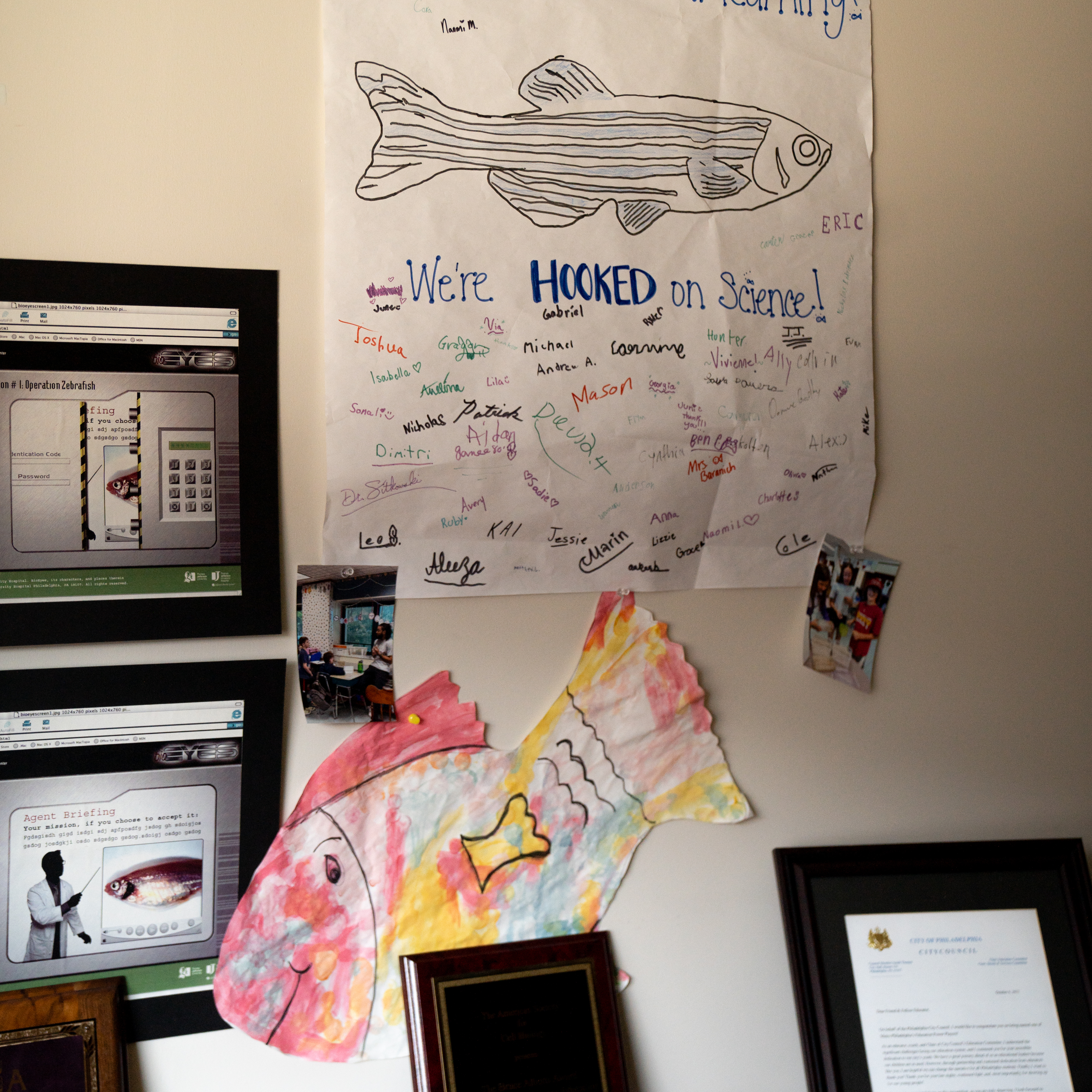 Drawings of fish on a wall and a table with several awards