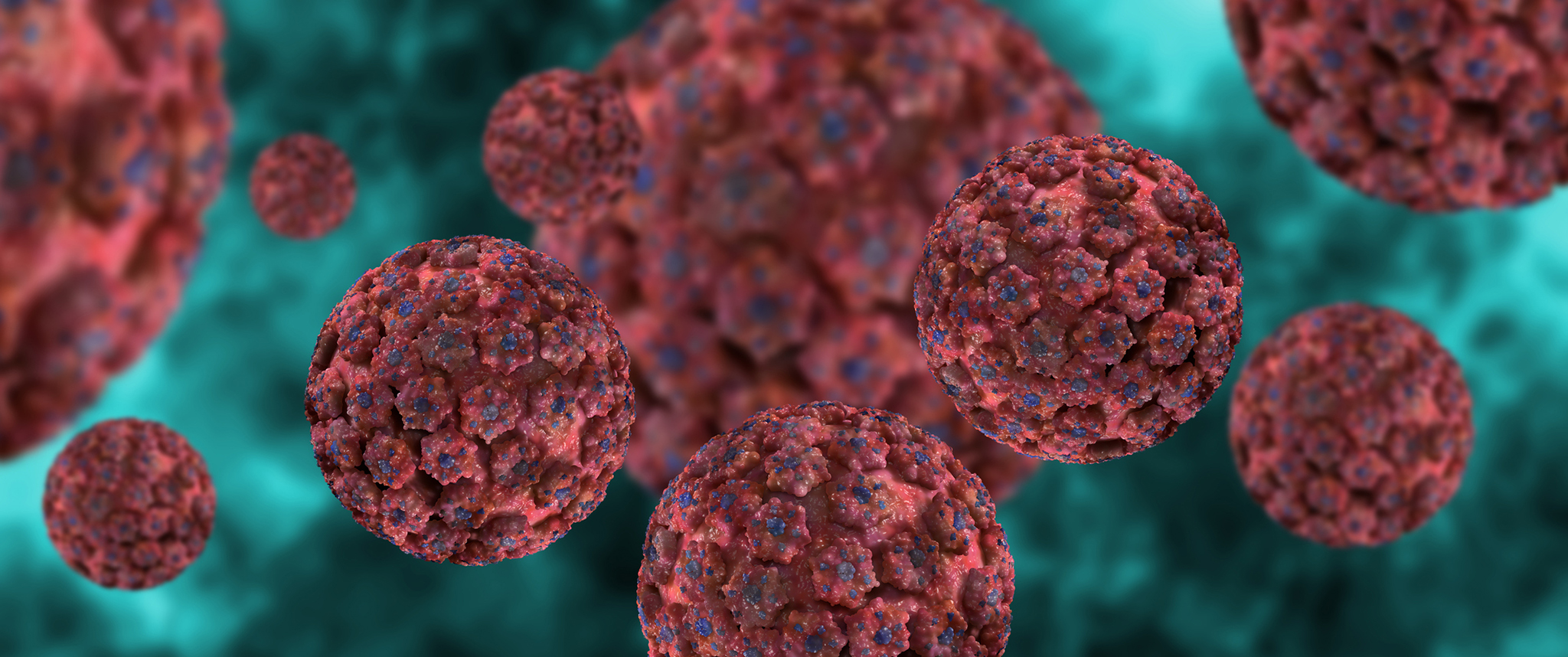 An artistic rendering of human papilloma virus (HPV) virions.