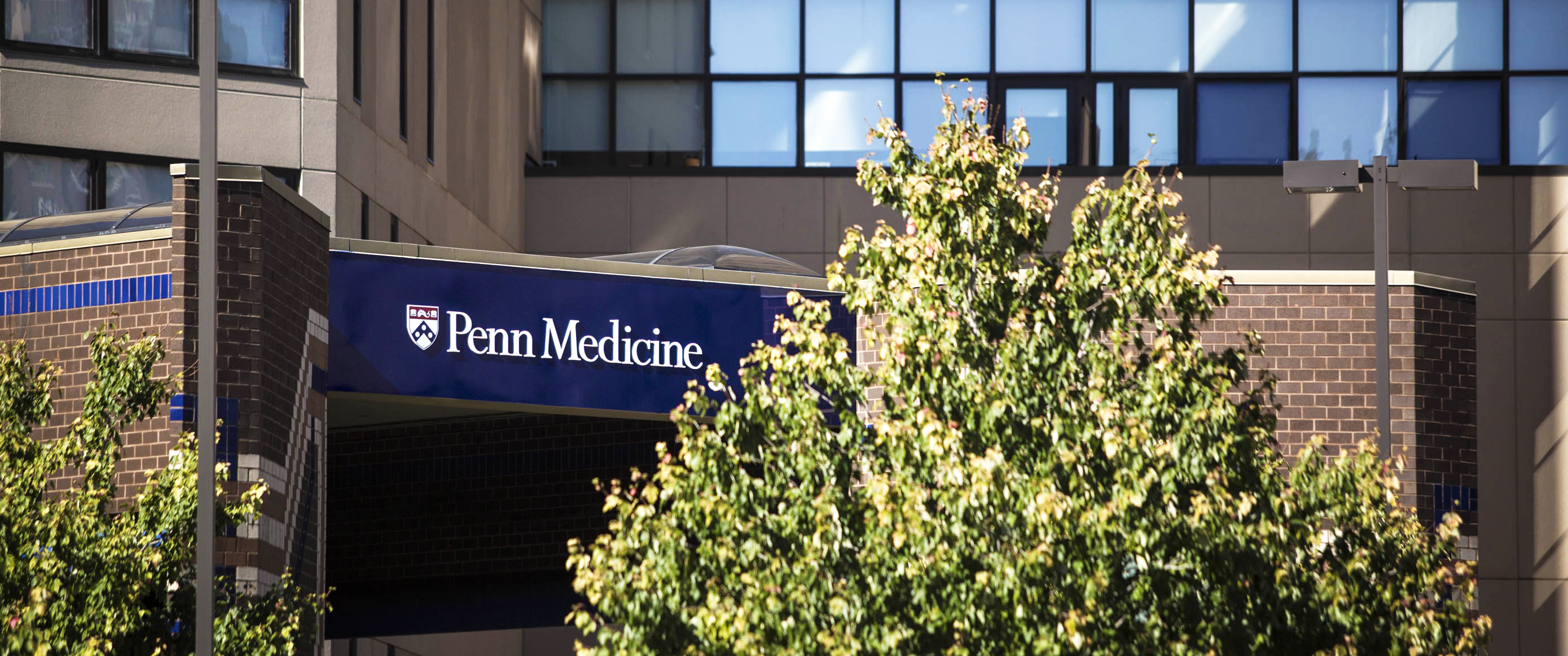 glutathione injections penn medicine Injections, 200mg/mL Glutathione IV Therapy Near Lancaster