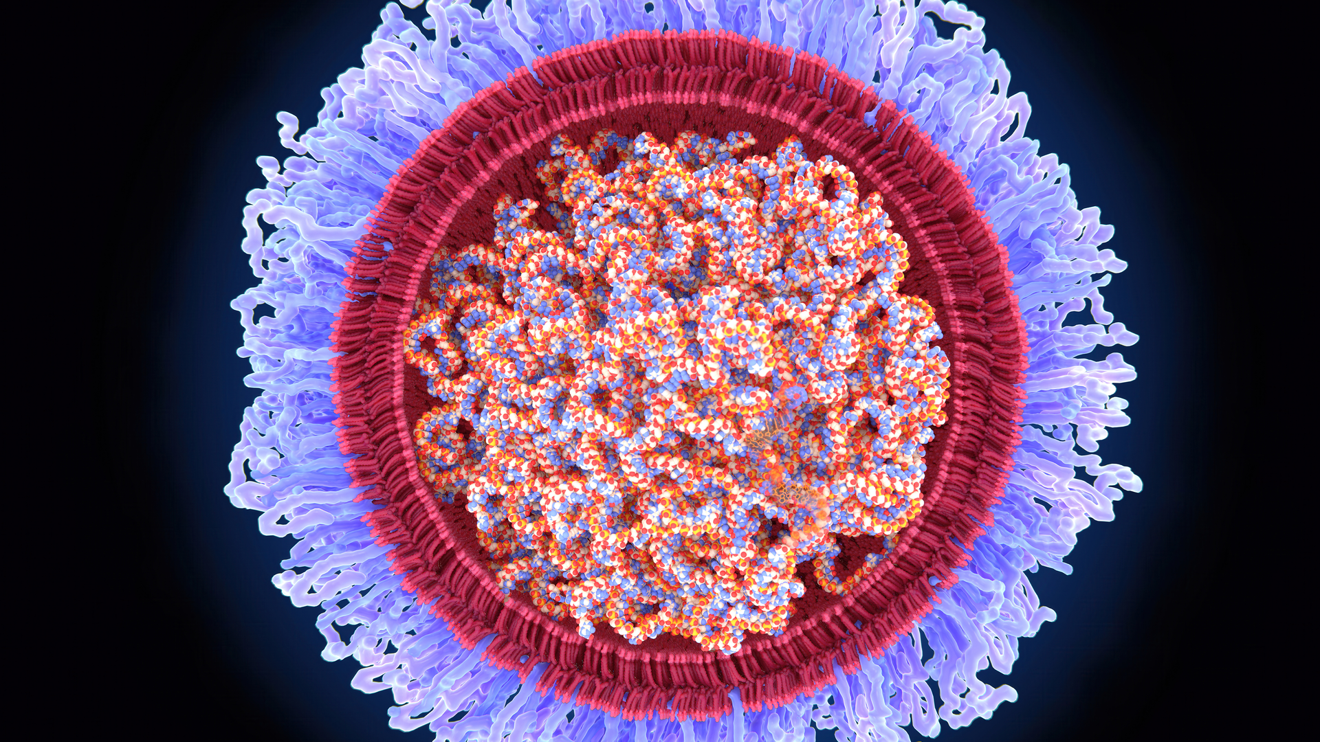 Illustration of COVID-19 RNA vaccine – strands of mRNA (messenger ribonucleic acid) encased in a lipid nanoparticle sphere (red) surrounded by a polyethylene glycol coat (violet). 