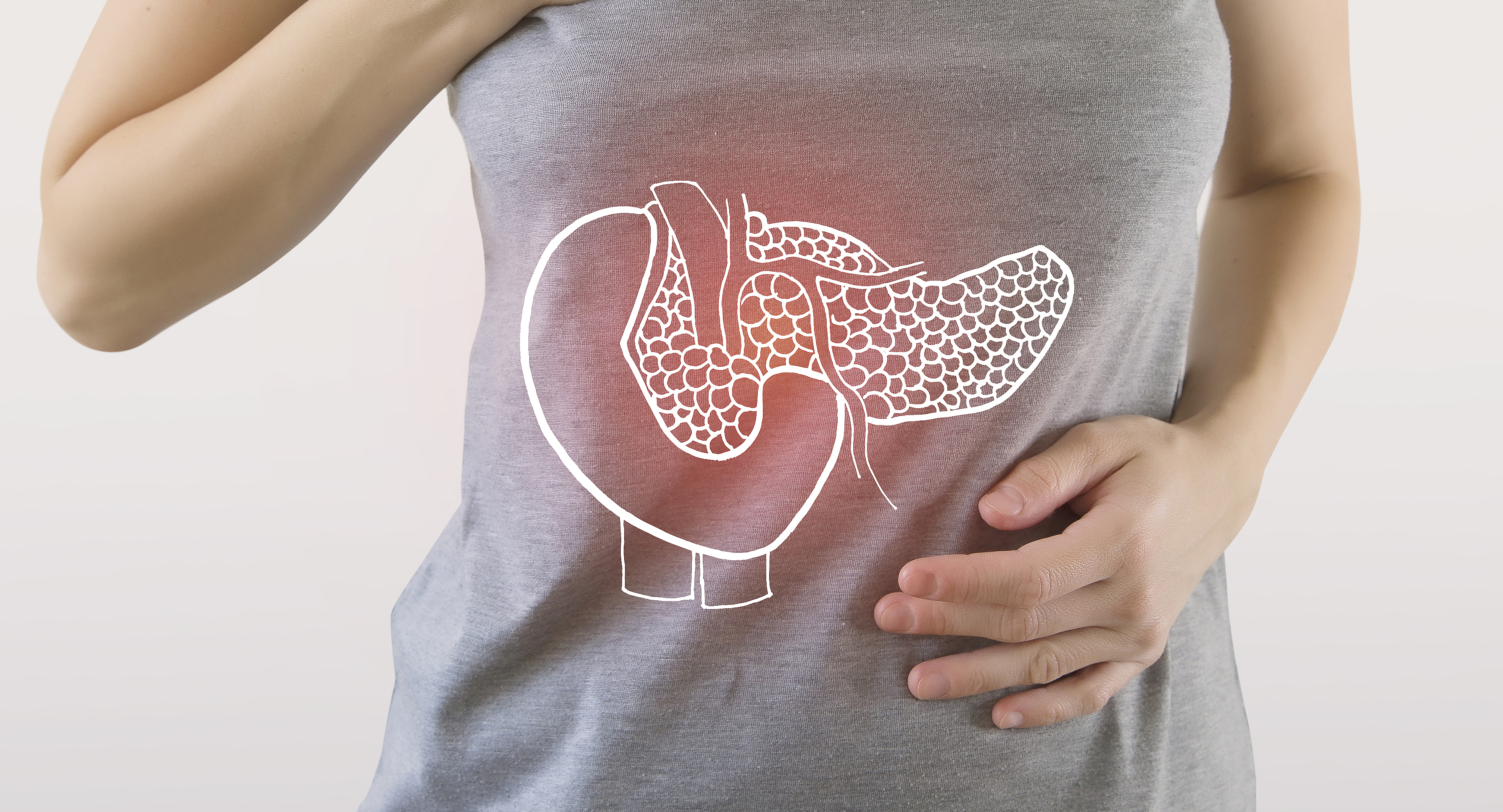 Digital composite of highlighted red pancreas of woman 