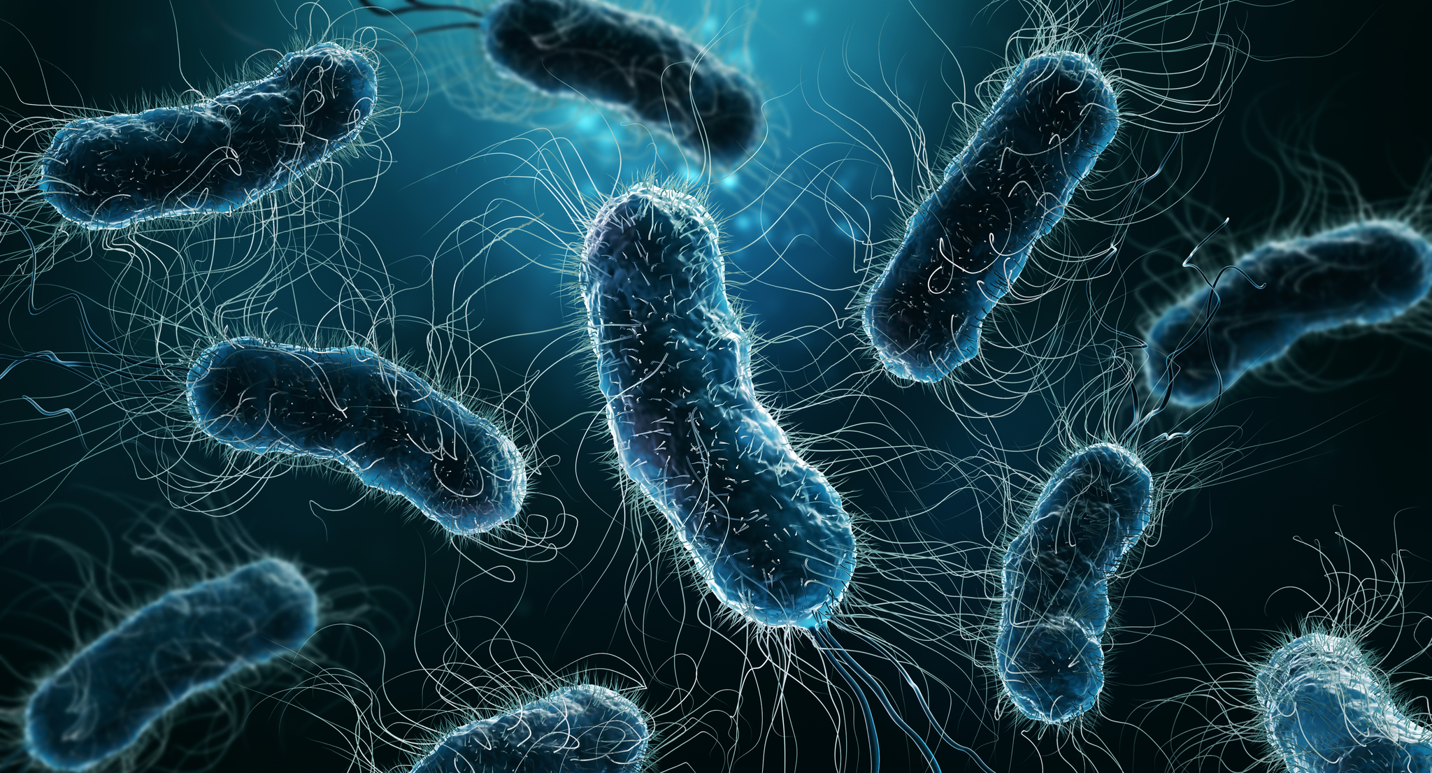 Artistic 3D render of bacteria colony
