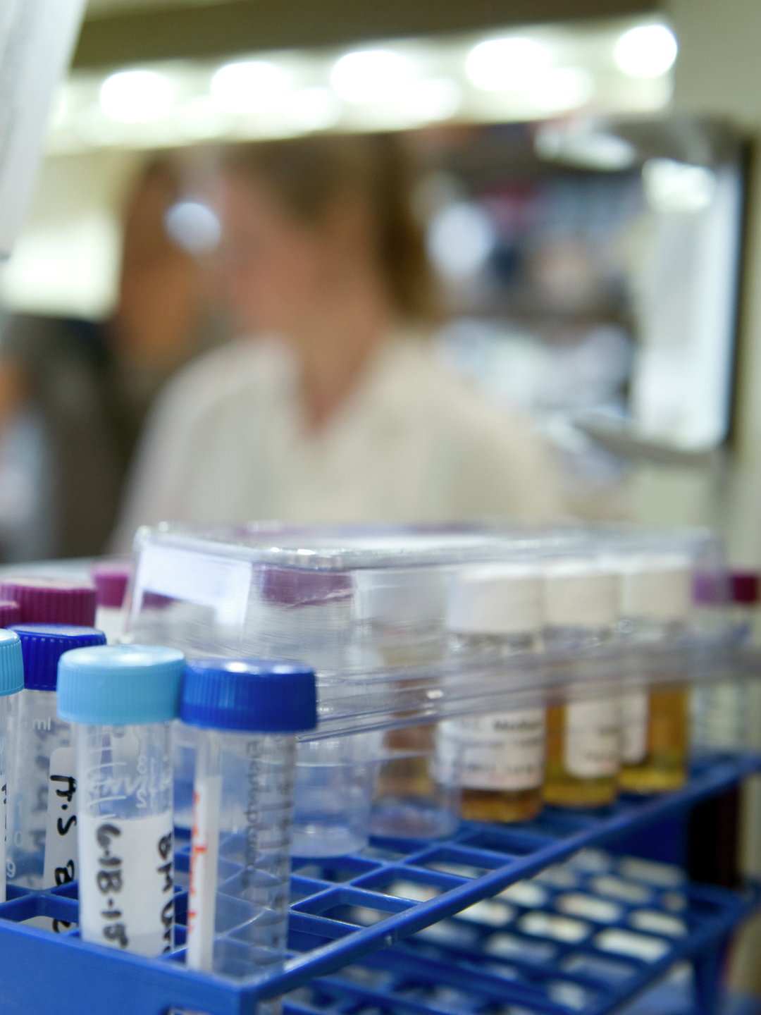 A rack of test tubes in a crowded lab