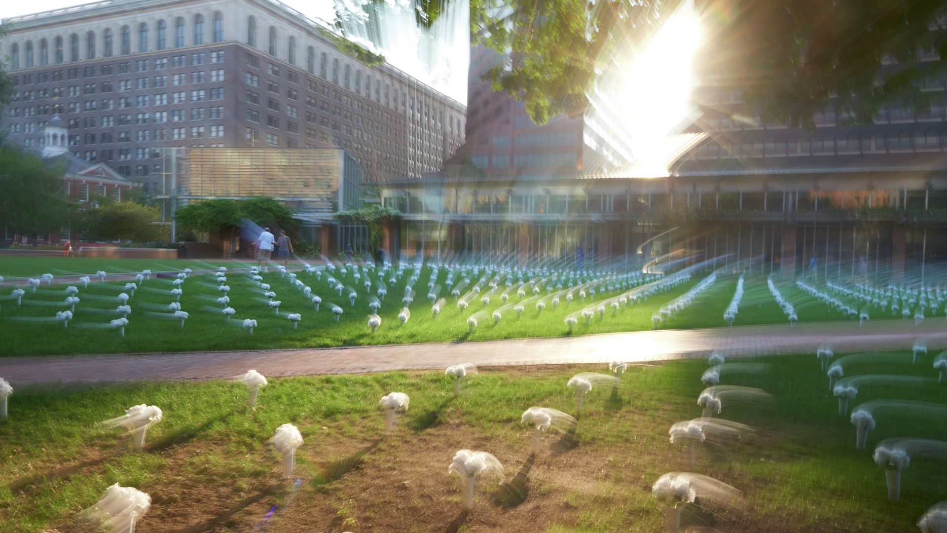 In a motion-blurred photo, a large grid of white vases of flowers spread out across a field