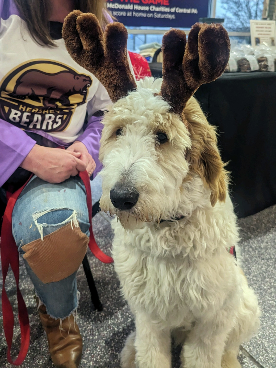 Maria Wright with service dog Cappuccino, who is wearing a headband with reindeer antlers.JPG