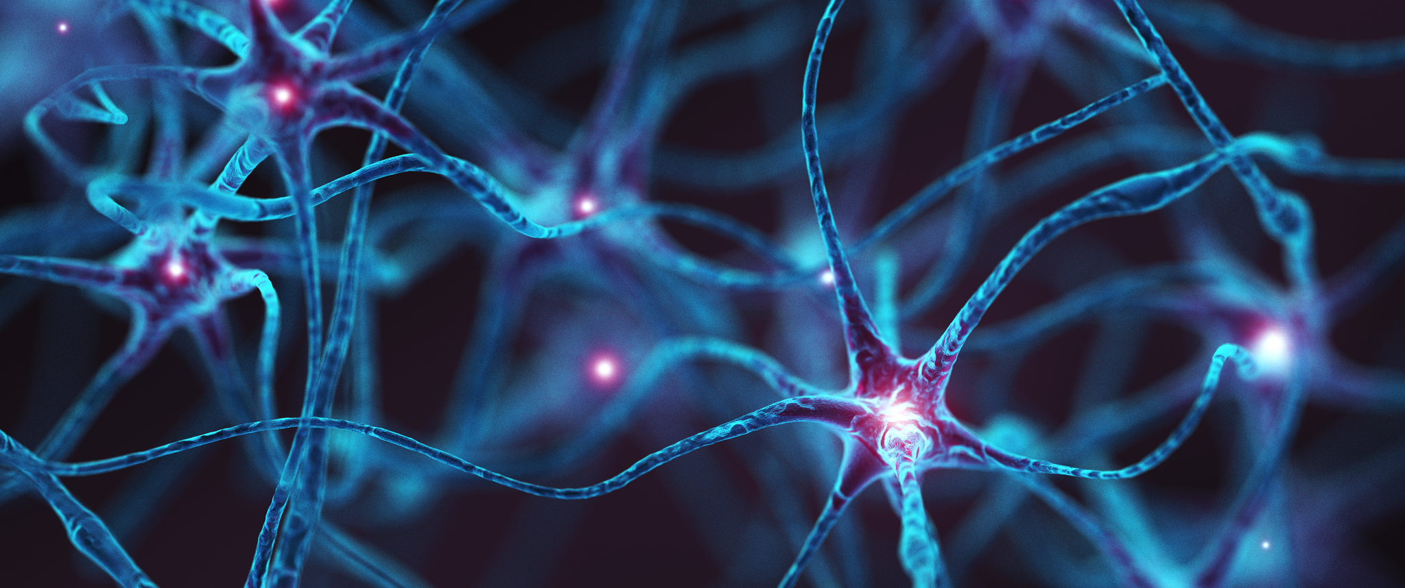 A 3D illustration of neurons