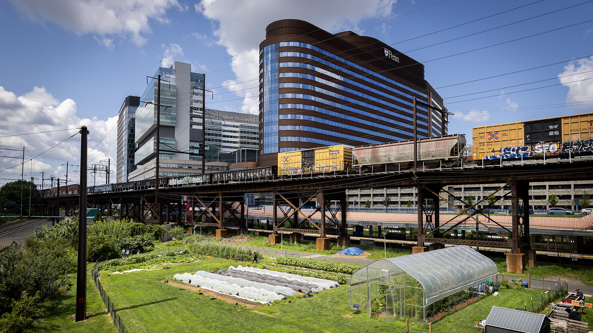 A small field nestled below an elevated freight train is filled with rows of growing vegetables. The HUP Pavilion is just past the train.