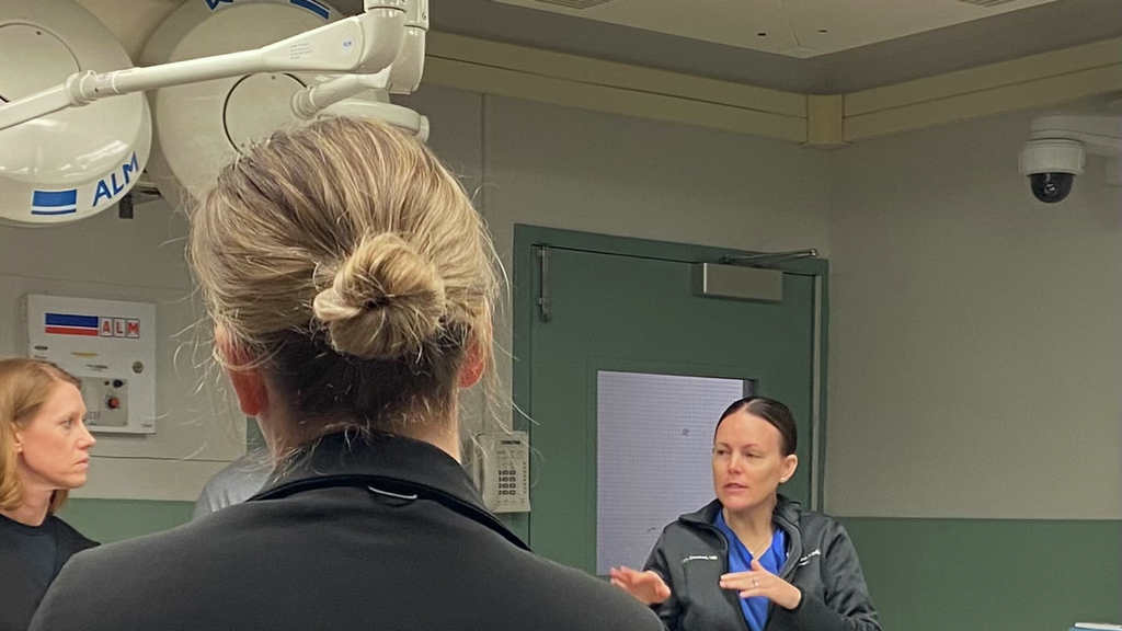 Mary Deocteau, MD, dressed in scrubs, stands speaking to colleagues in the trauma bay