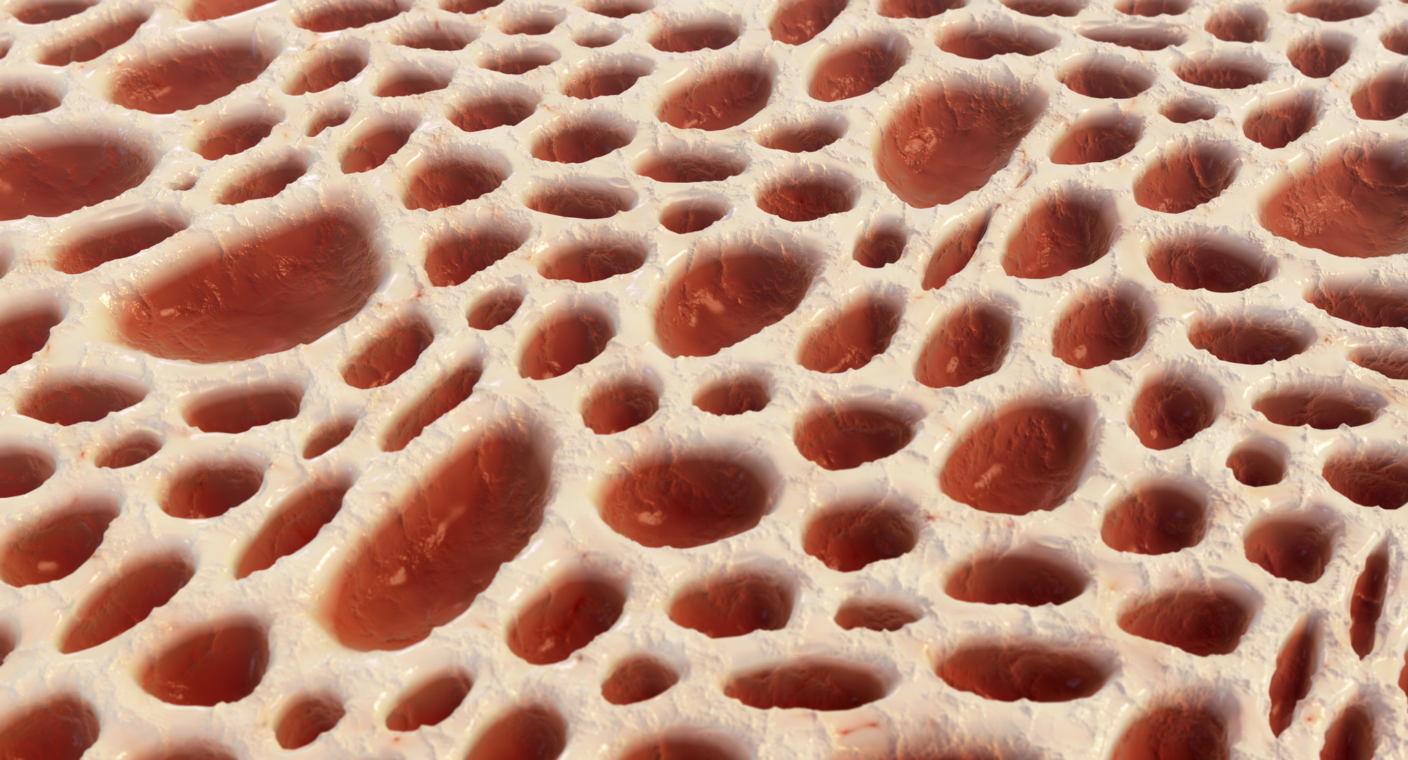 Bone tissue structure