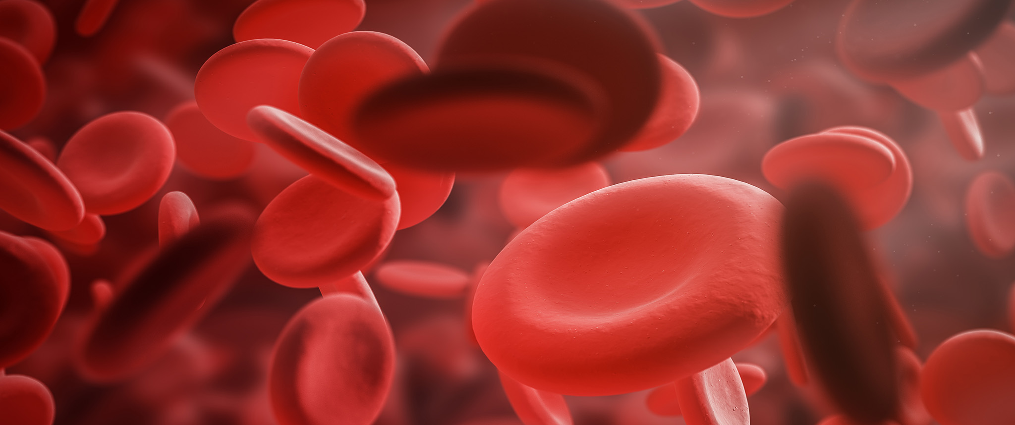 Red blood cells