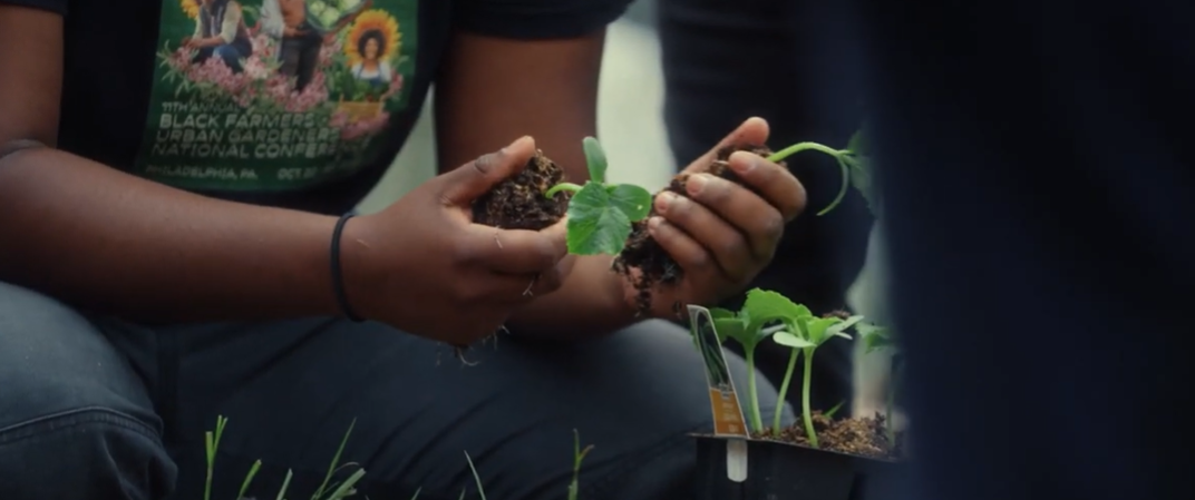 Hands digging into the dirt and planting a garden