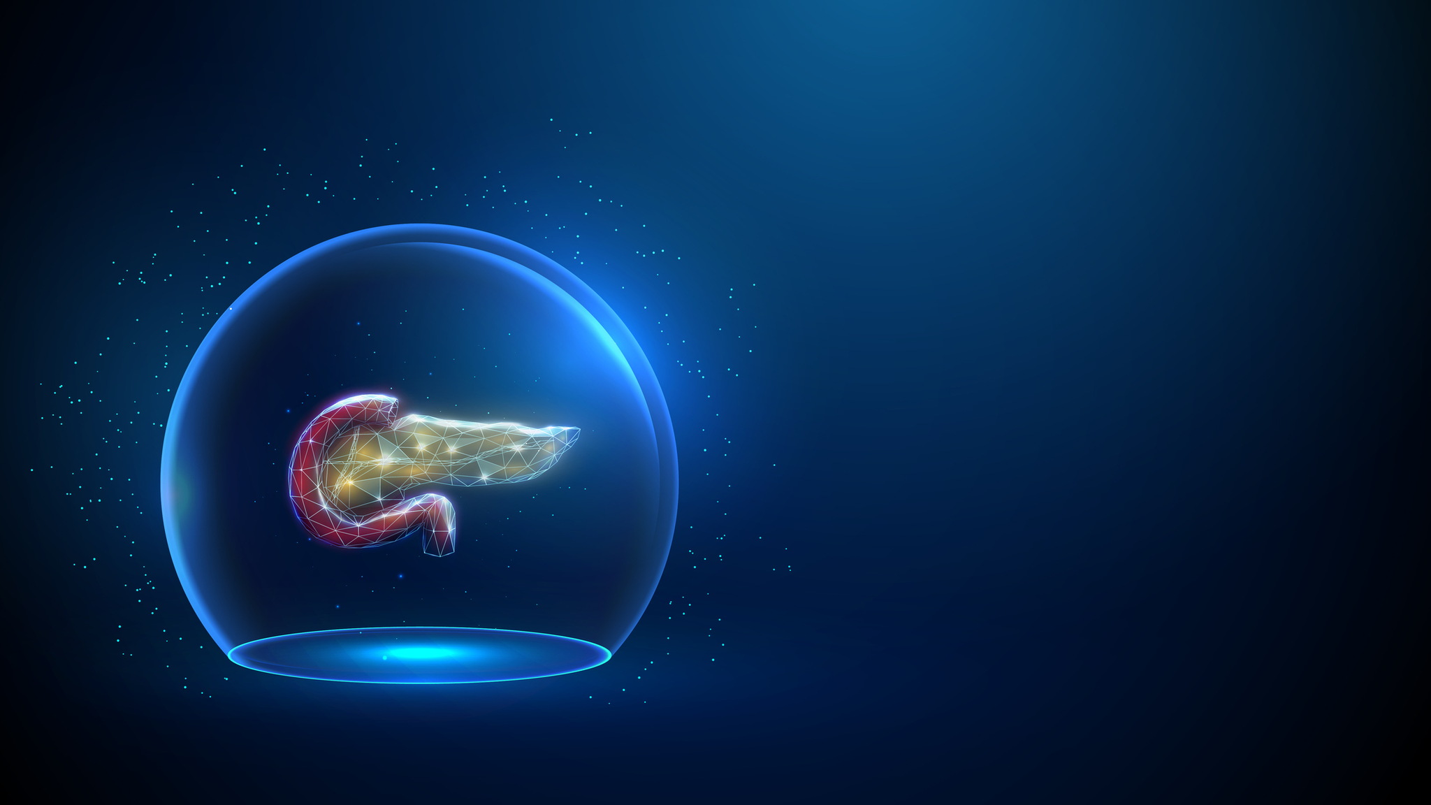 A digital rendering of a pancreas, enclosed in a blue, glowing bubble