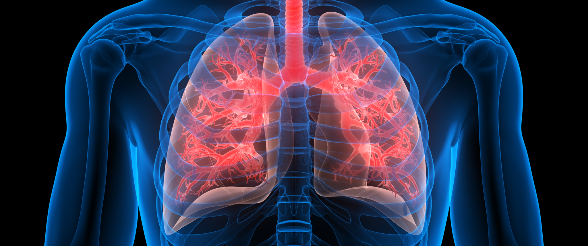 Artistic 3D render of lungs