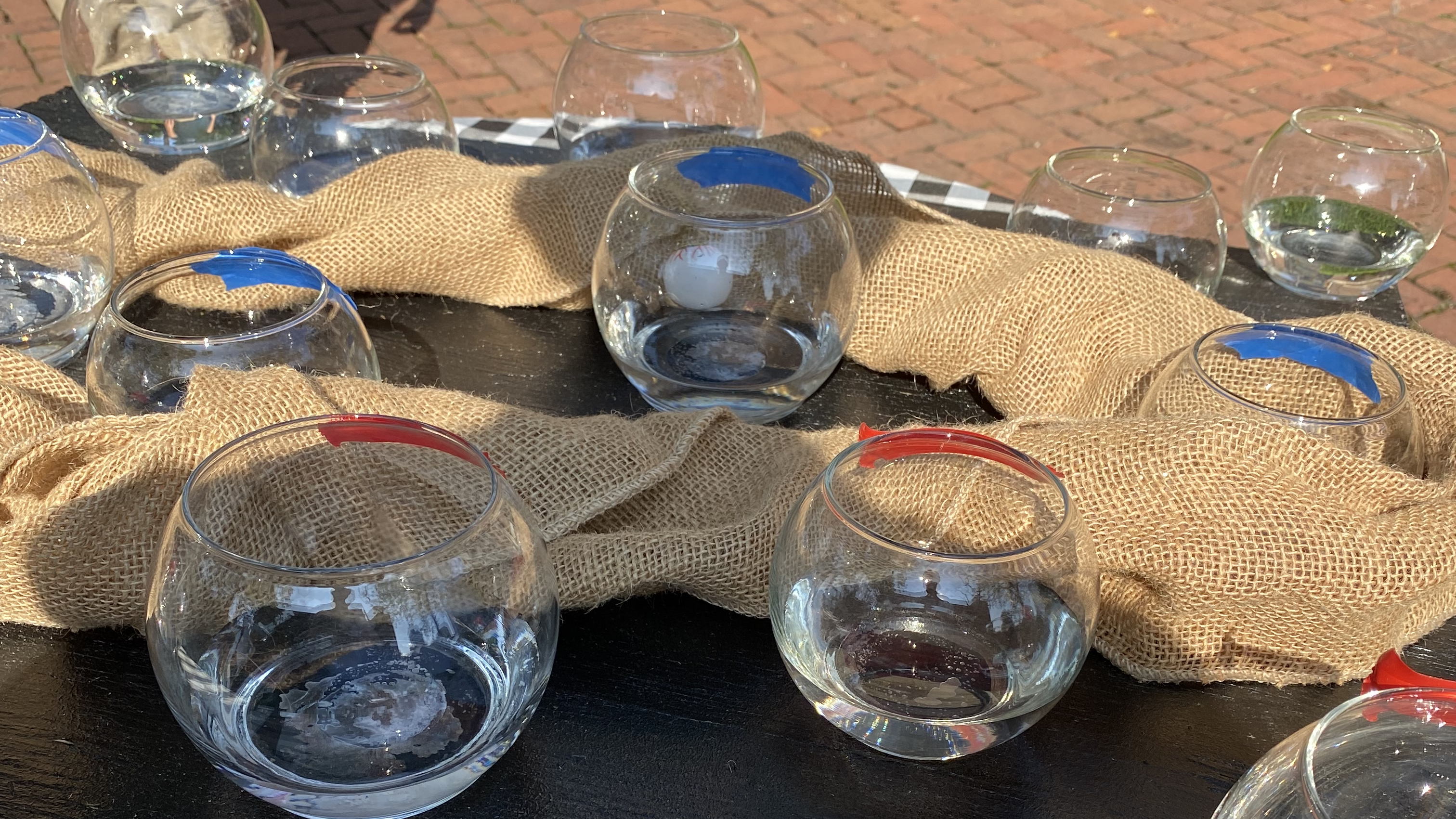 A close-up photo of fish bowls on a table
