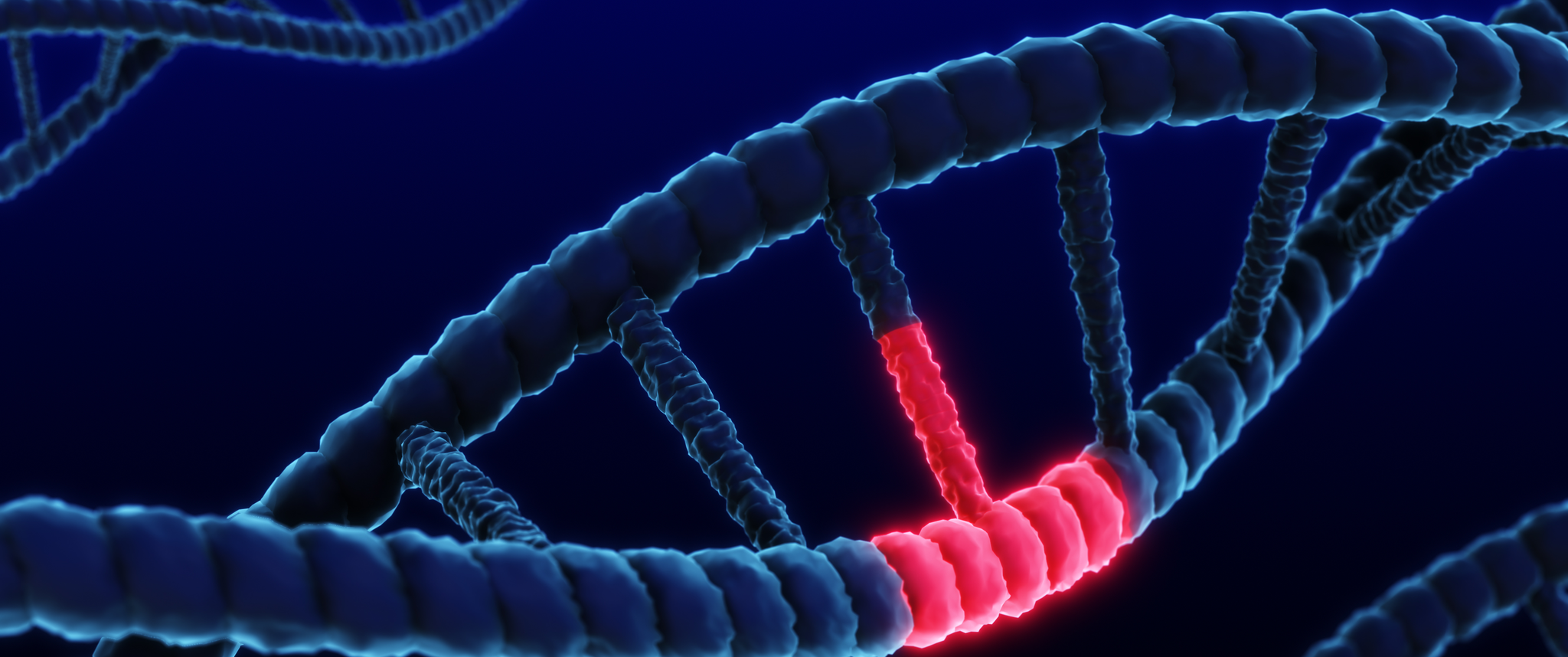 animated DNA strand showing dynamic visuals of genetic modification