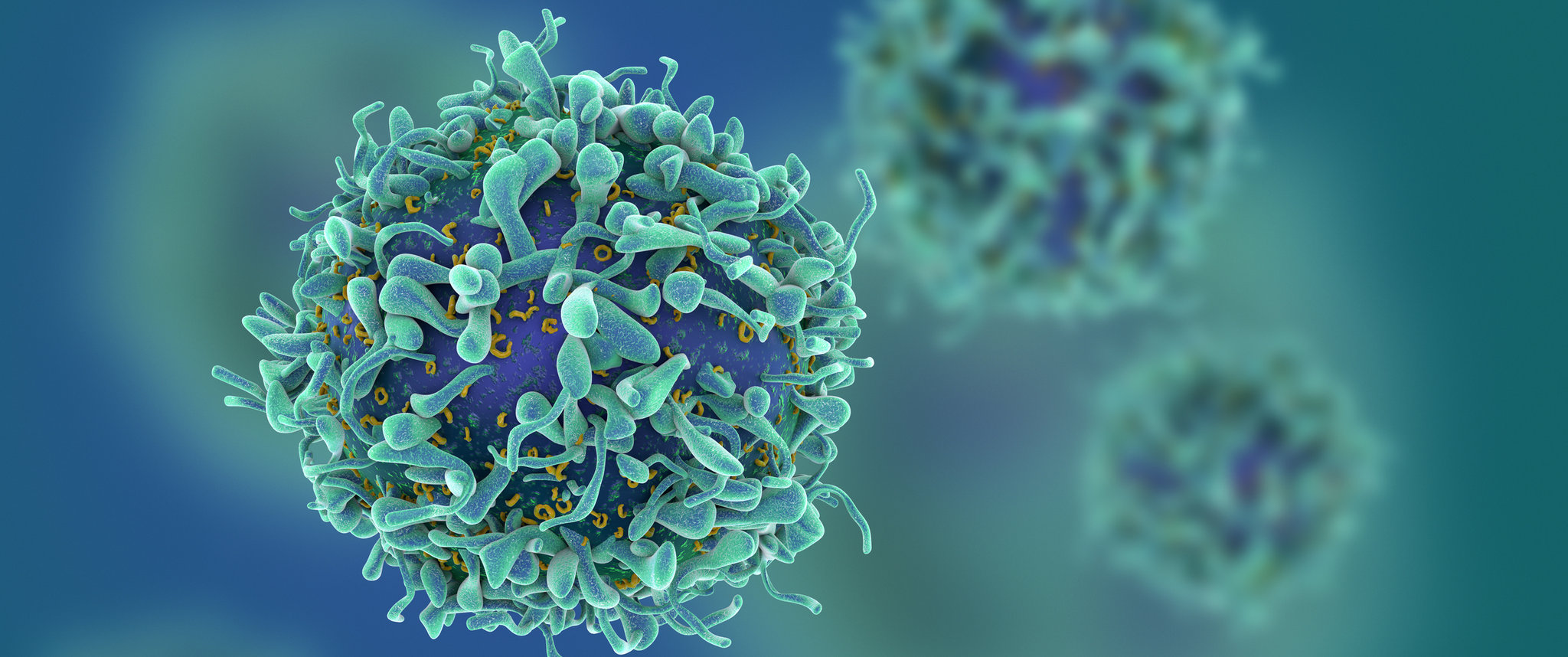 Illustration render of T-cells in shallow depth of field