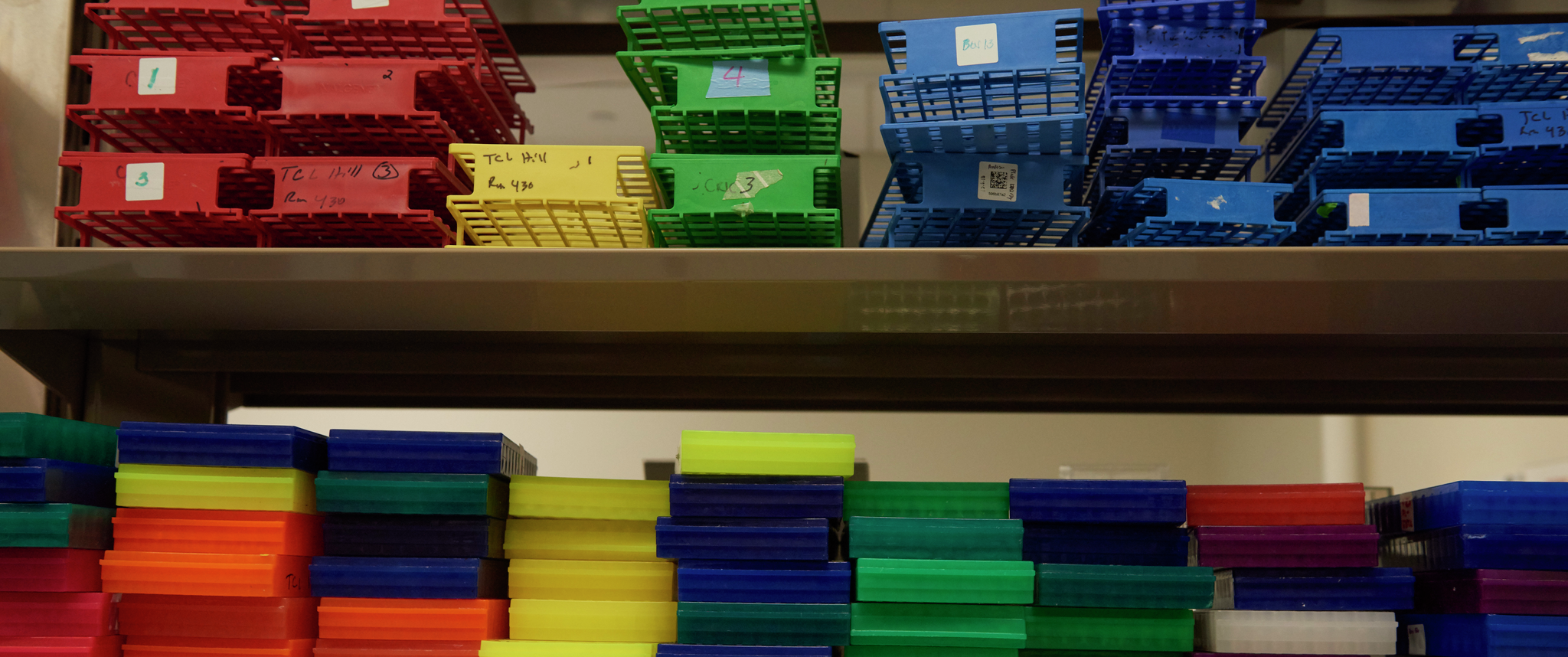 A shelf full of colorful test tube stands on a shelf