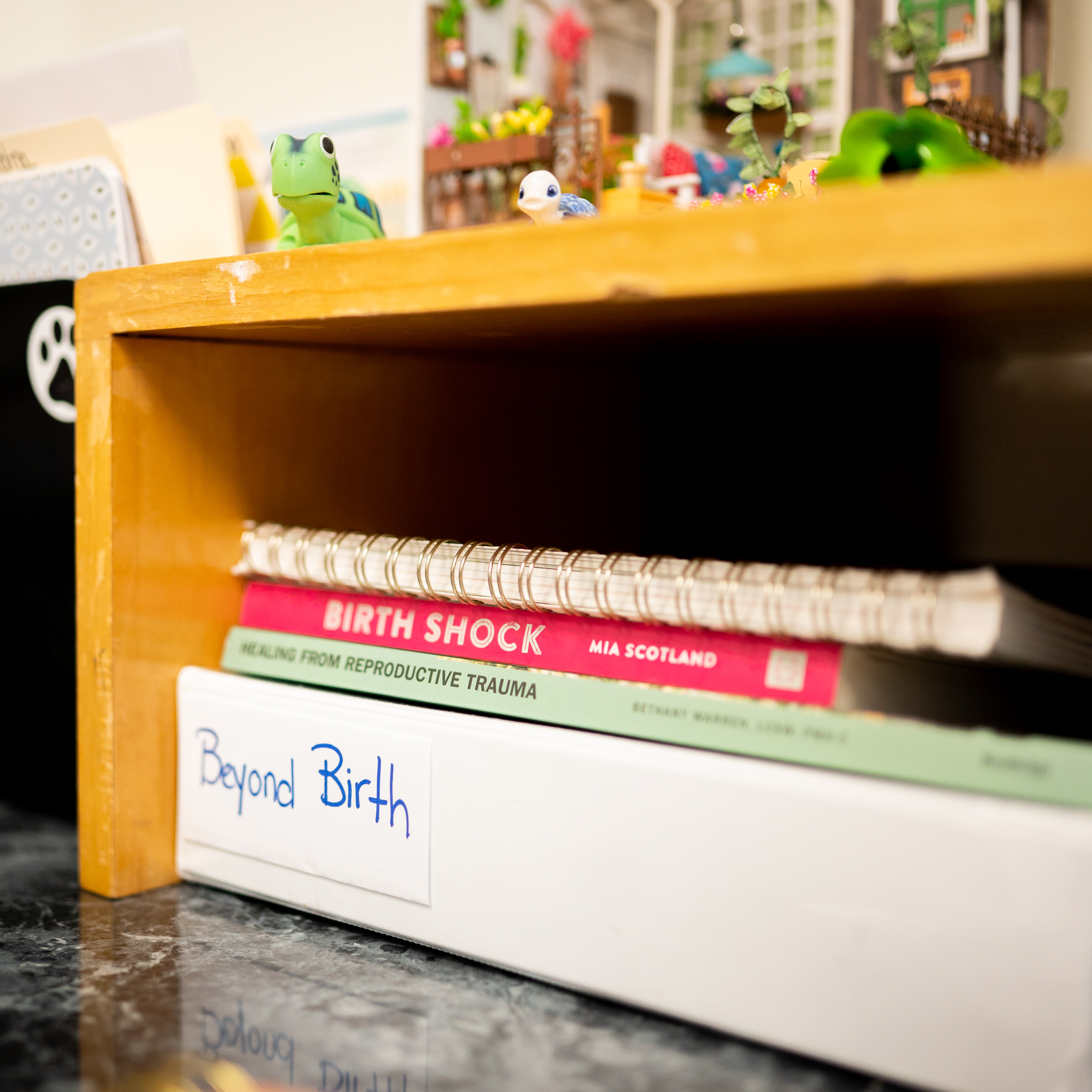 A binder with the words Beyond Birth written on its spine with several books stacked on it in an office