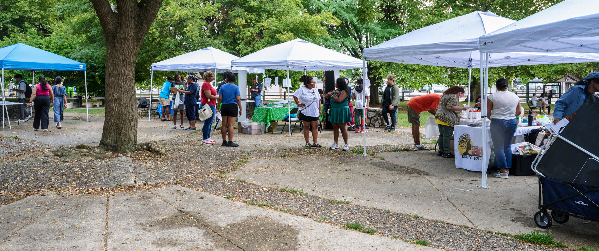 In an urban park with mature trees, people gather under pop-up tents