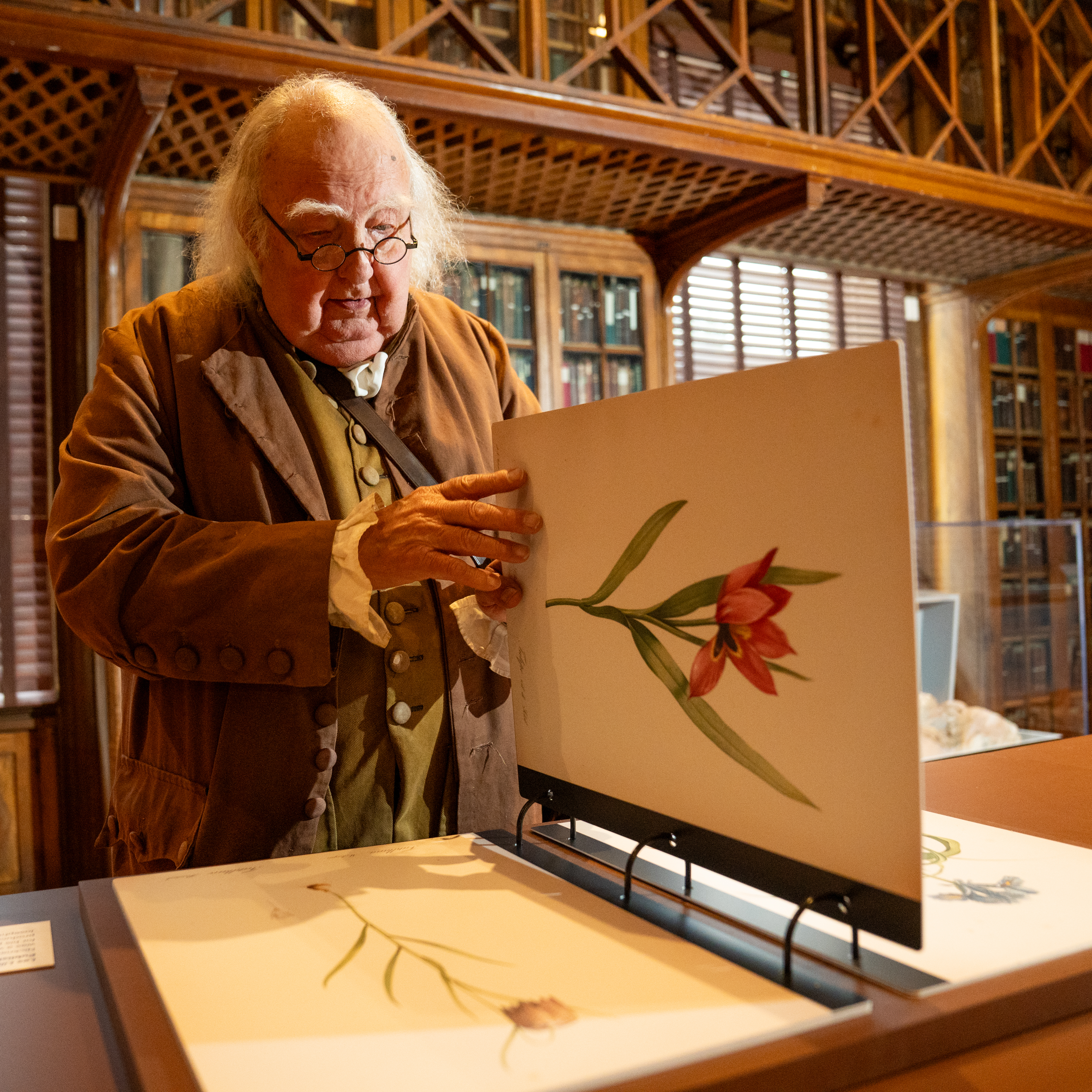 A reenactor of Benjamin Franklin flipping through the pages of a book of botanical illustrations