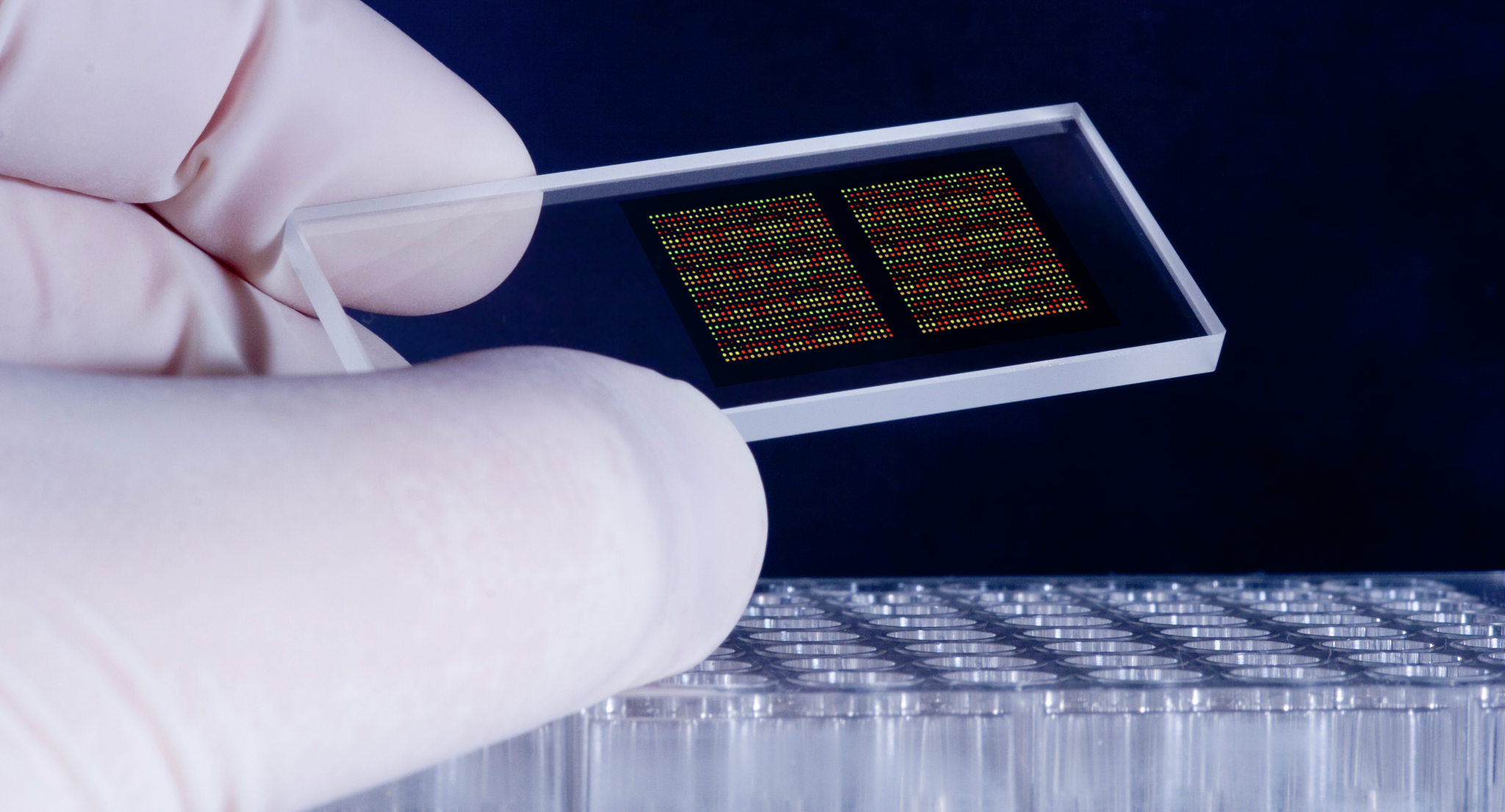A hand holding DNA microarray chips