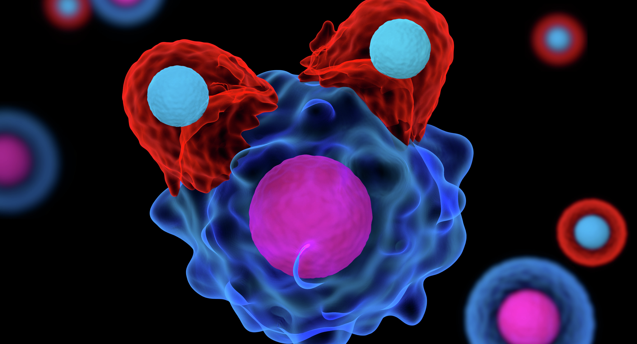 T cells attacking a cancer cell