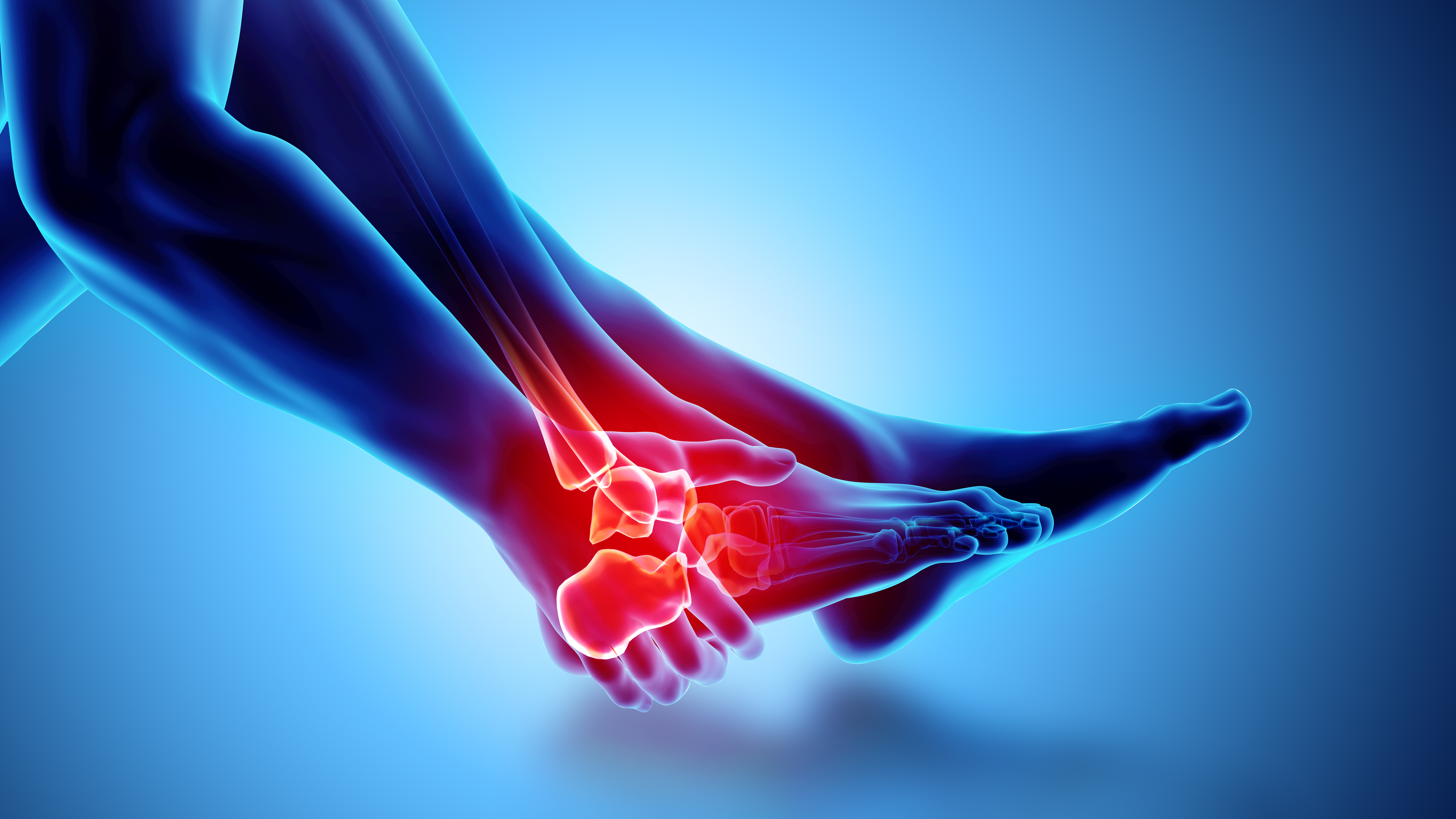 3D illustration of foot and ankle pain on skeleton xray