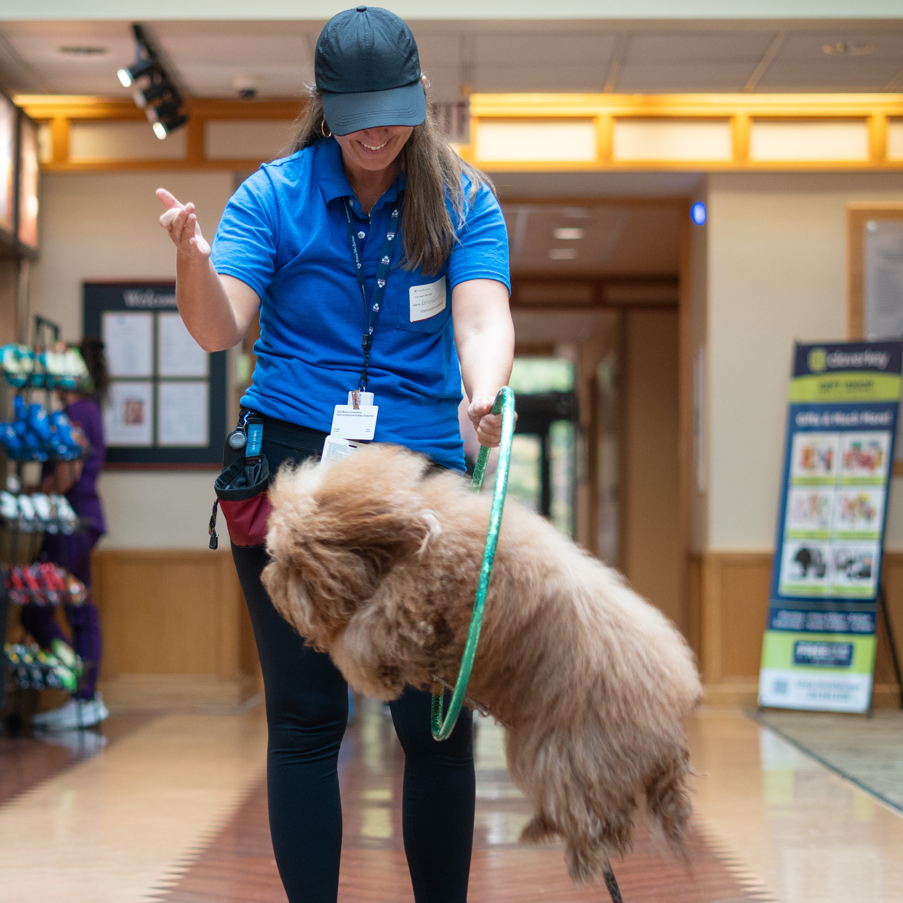 Bing Bong the therapy dog jumps through a hula hoop, held by his owner, Emily Cerruti
