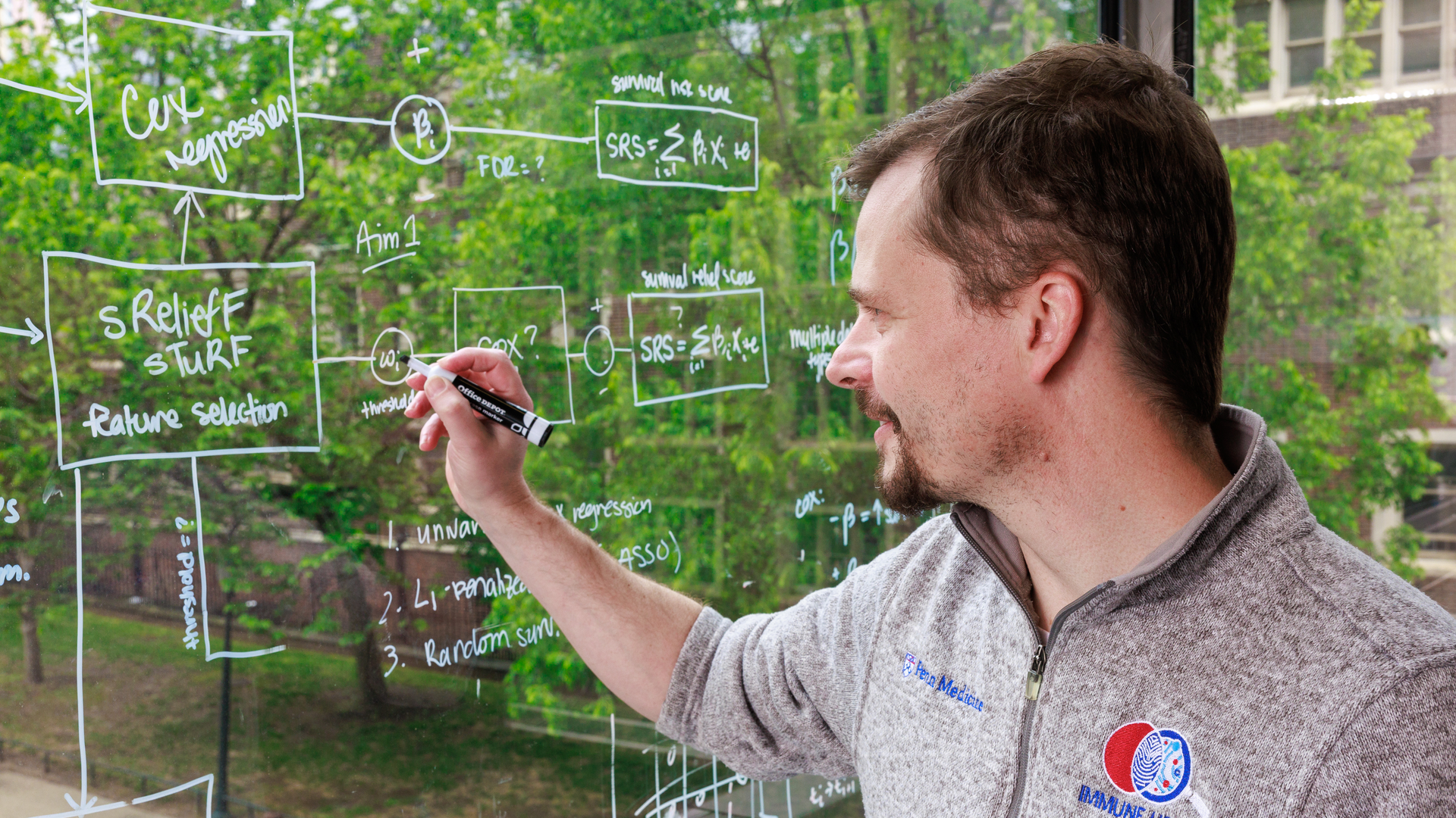 A man wearing an Immune Health logo shirt stands at a window writing a flowchart equation with a dry erase marker