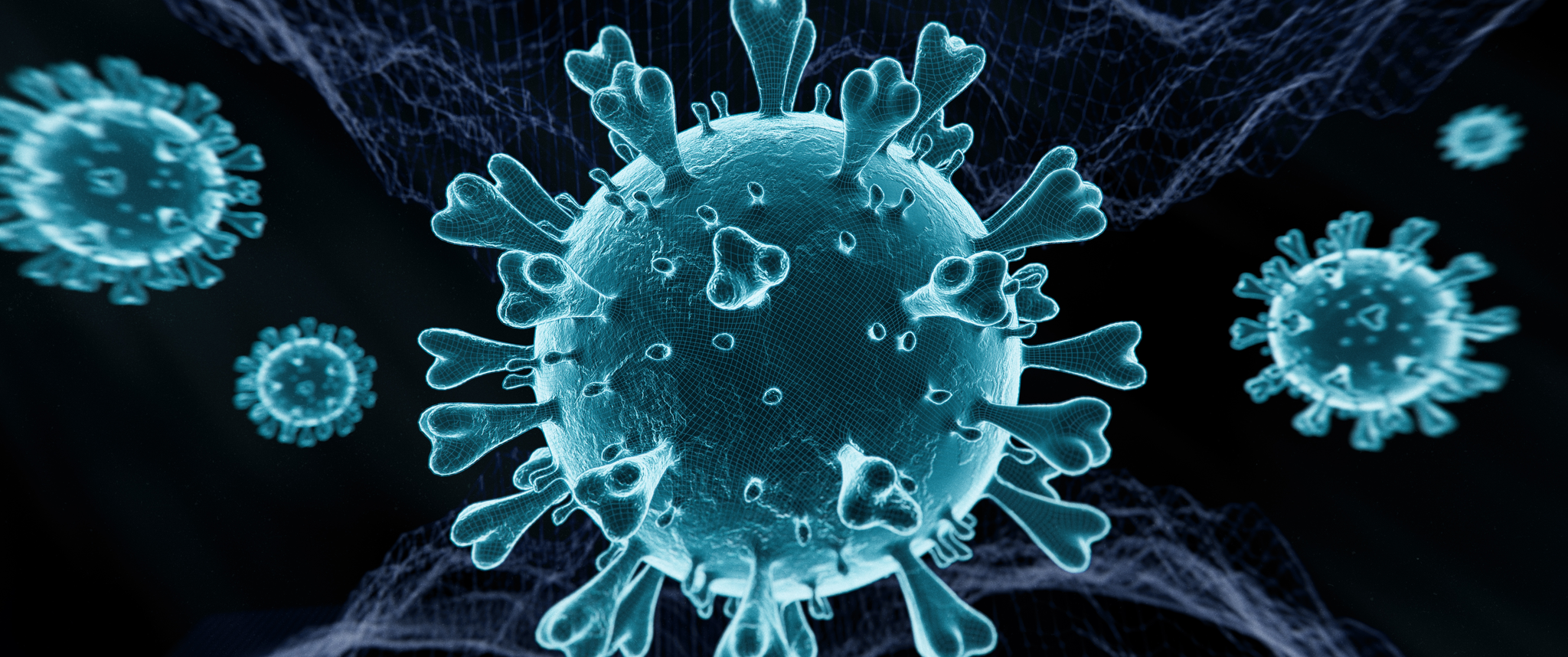 A 3D illustration of the COVID-19 virus 