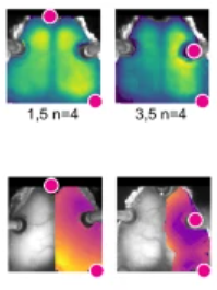 Panels displaying bar graphs comparing different experimental conditions