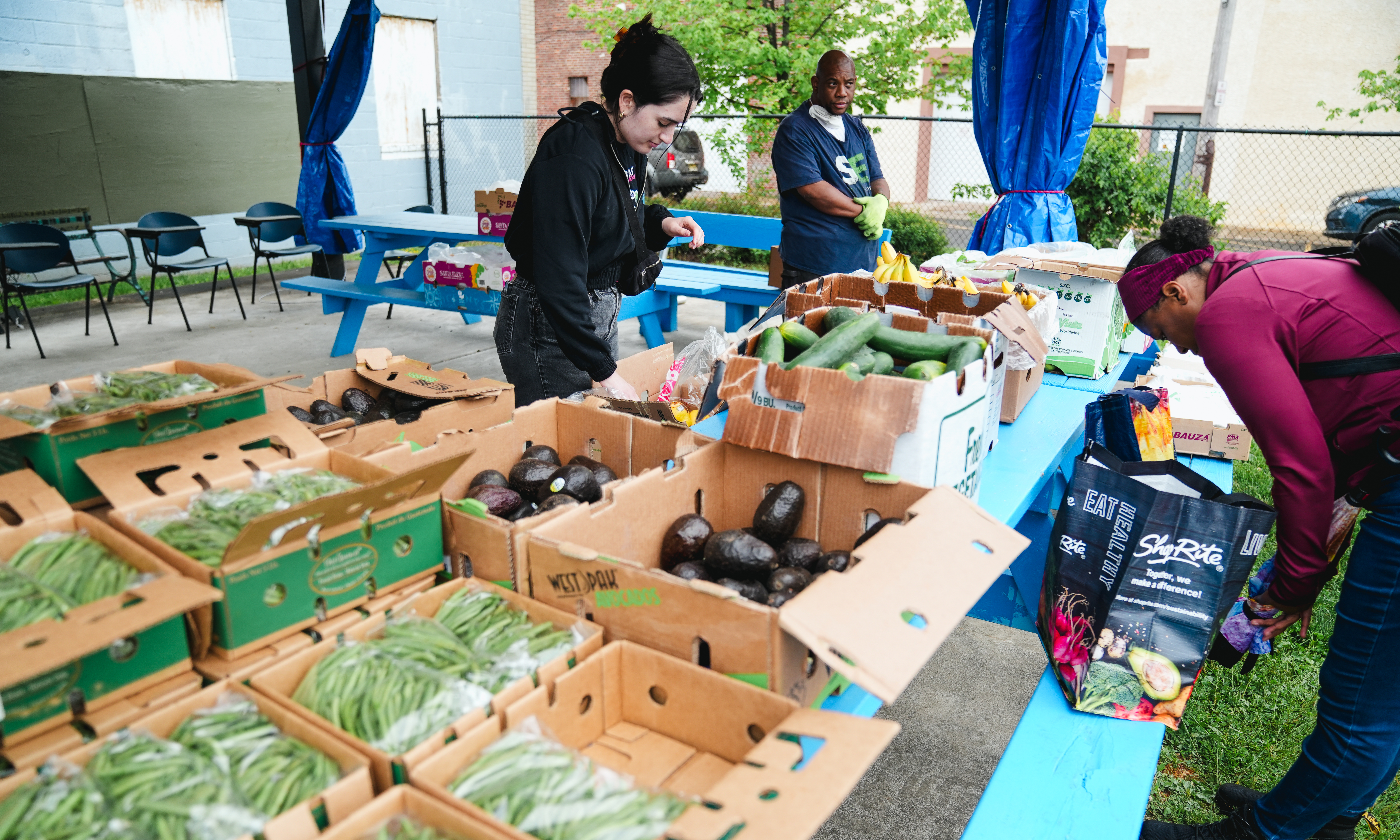 People look through boxes of fresh produce