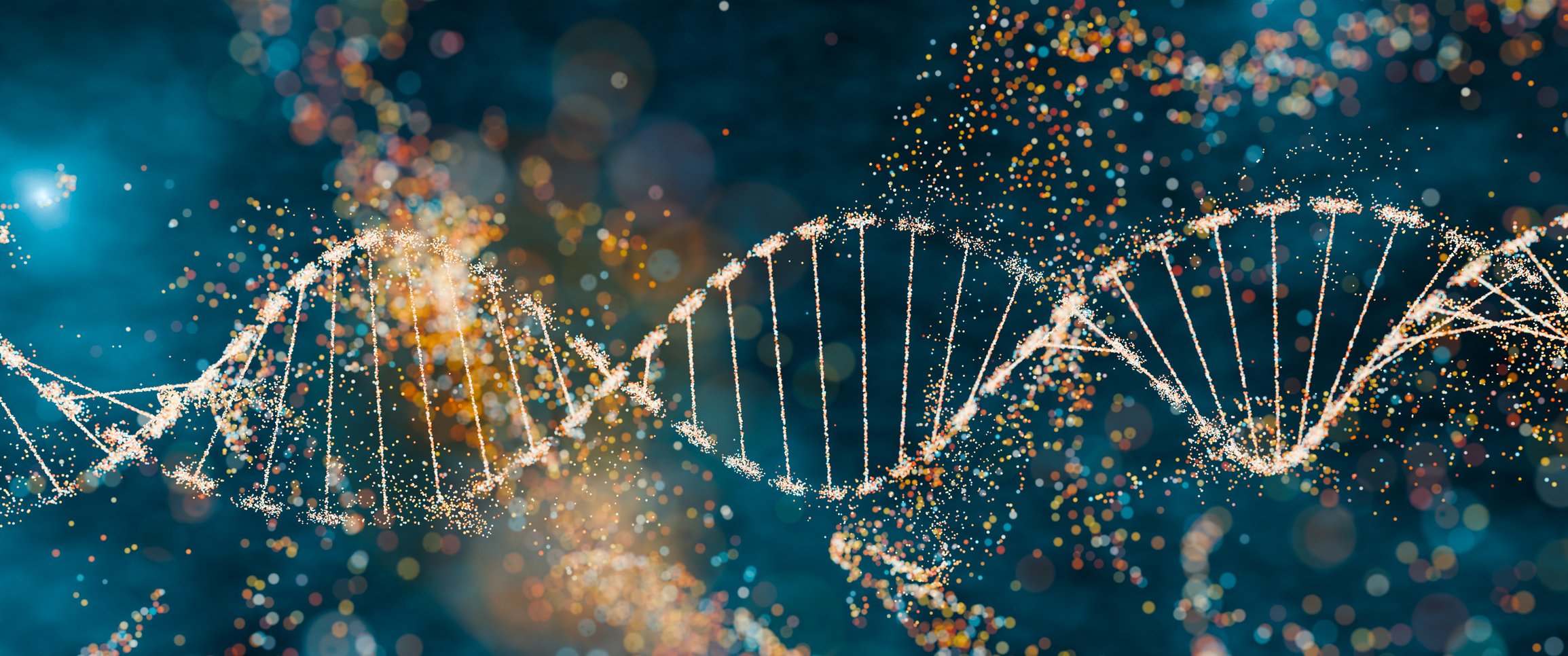 Illustration of a DNA molecule
